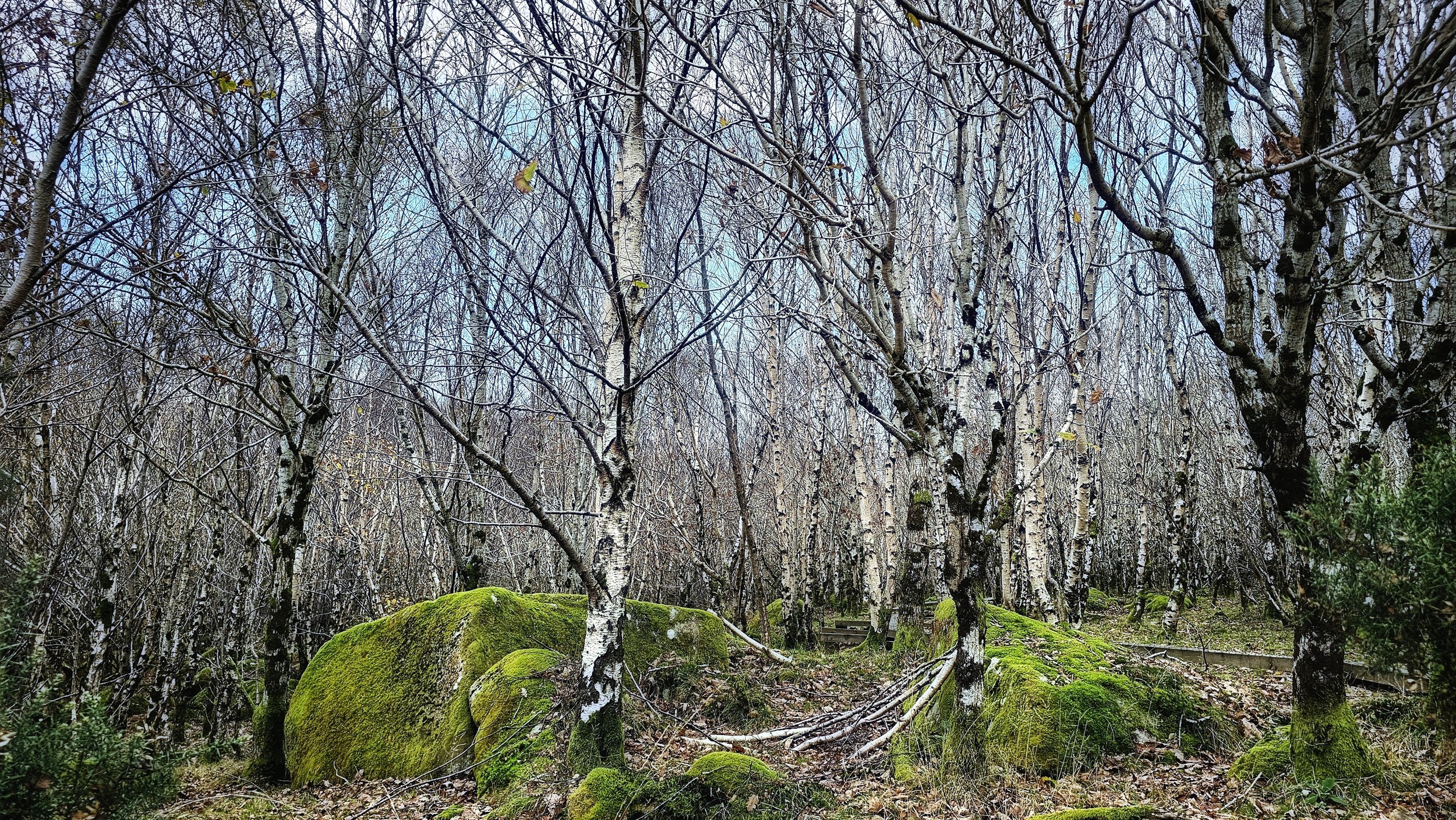 20241124_143828 (1).jpg