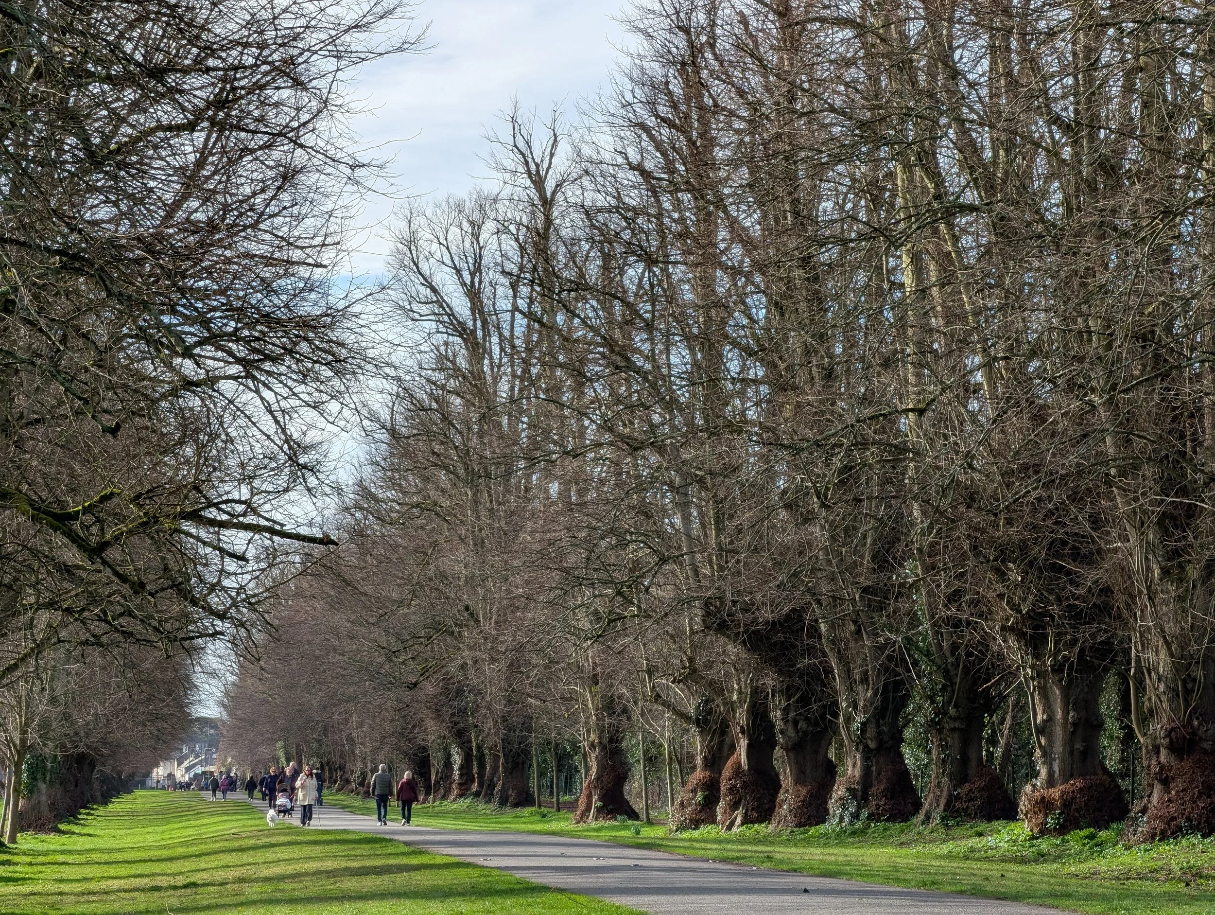 Castletown House, County Kildare
