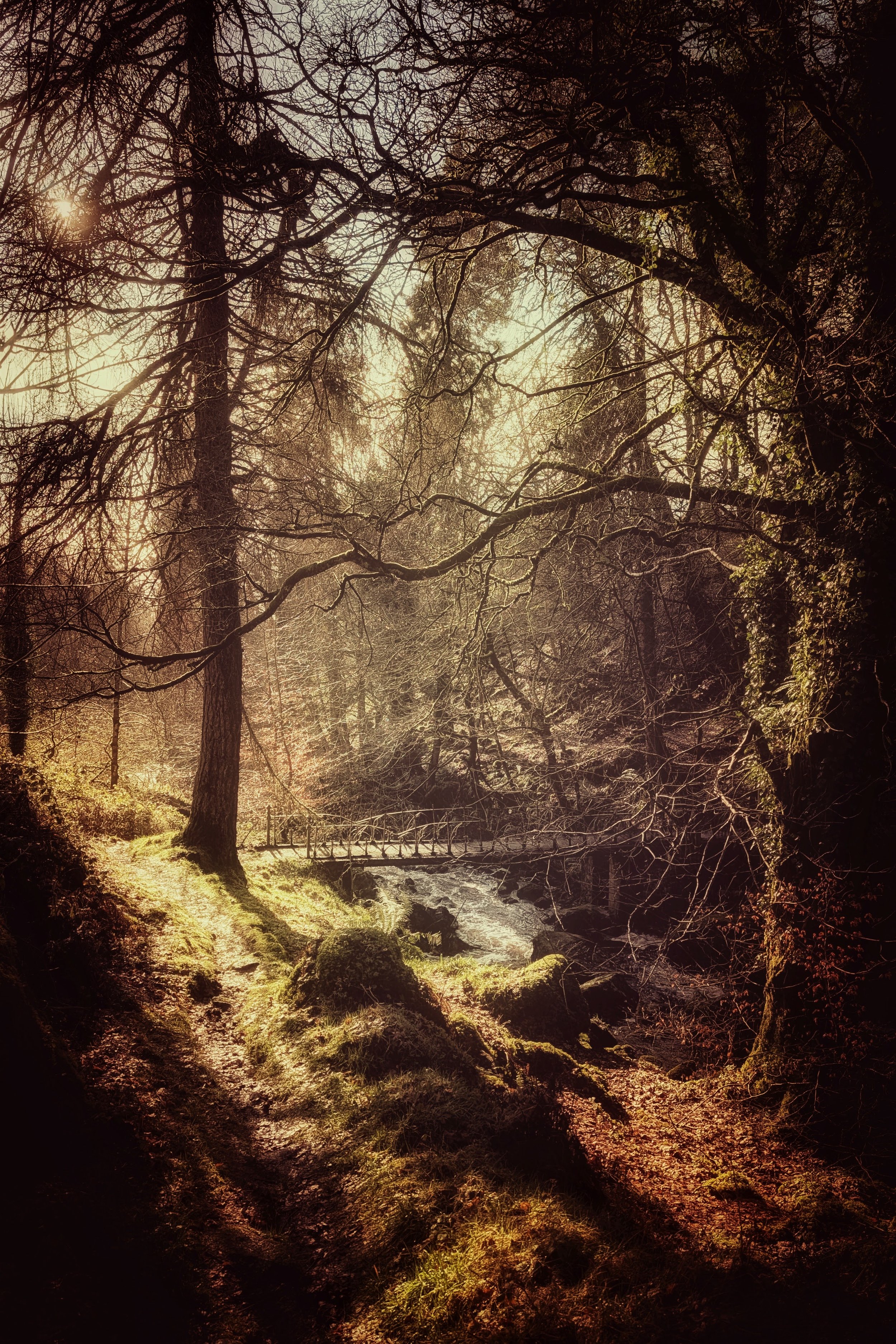 Giving Rivendell Vibes