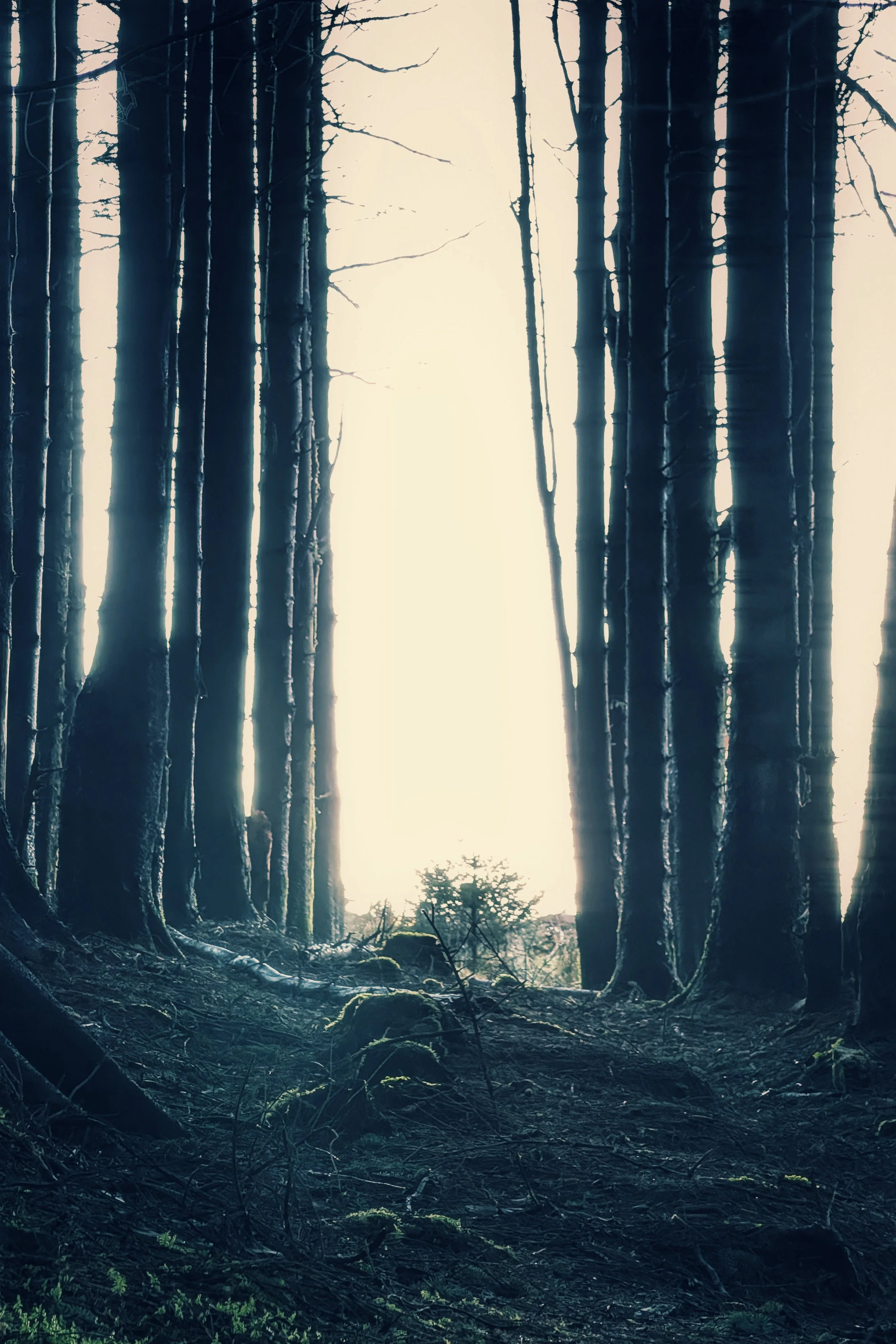 PXL_20251212_113724251 (1).jpg