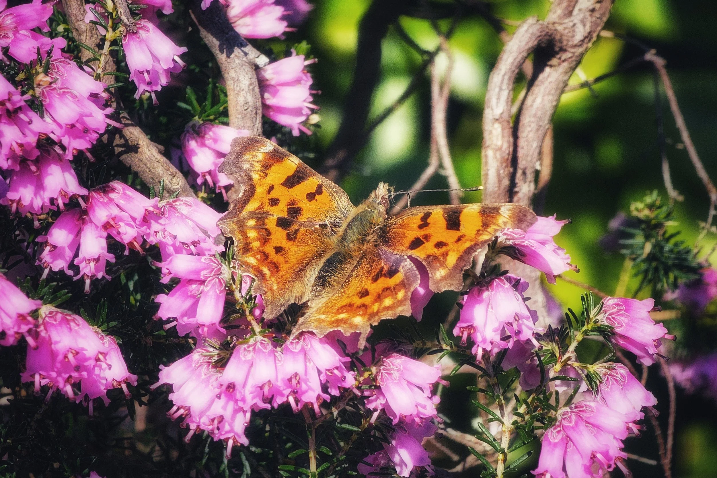 20250424_130749(0) (1).jpg