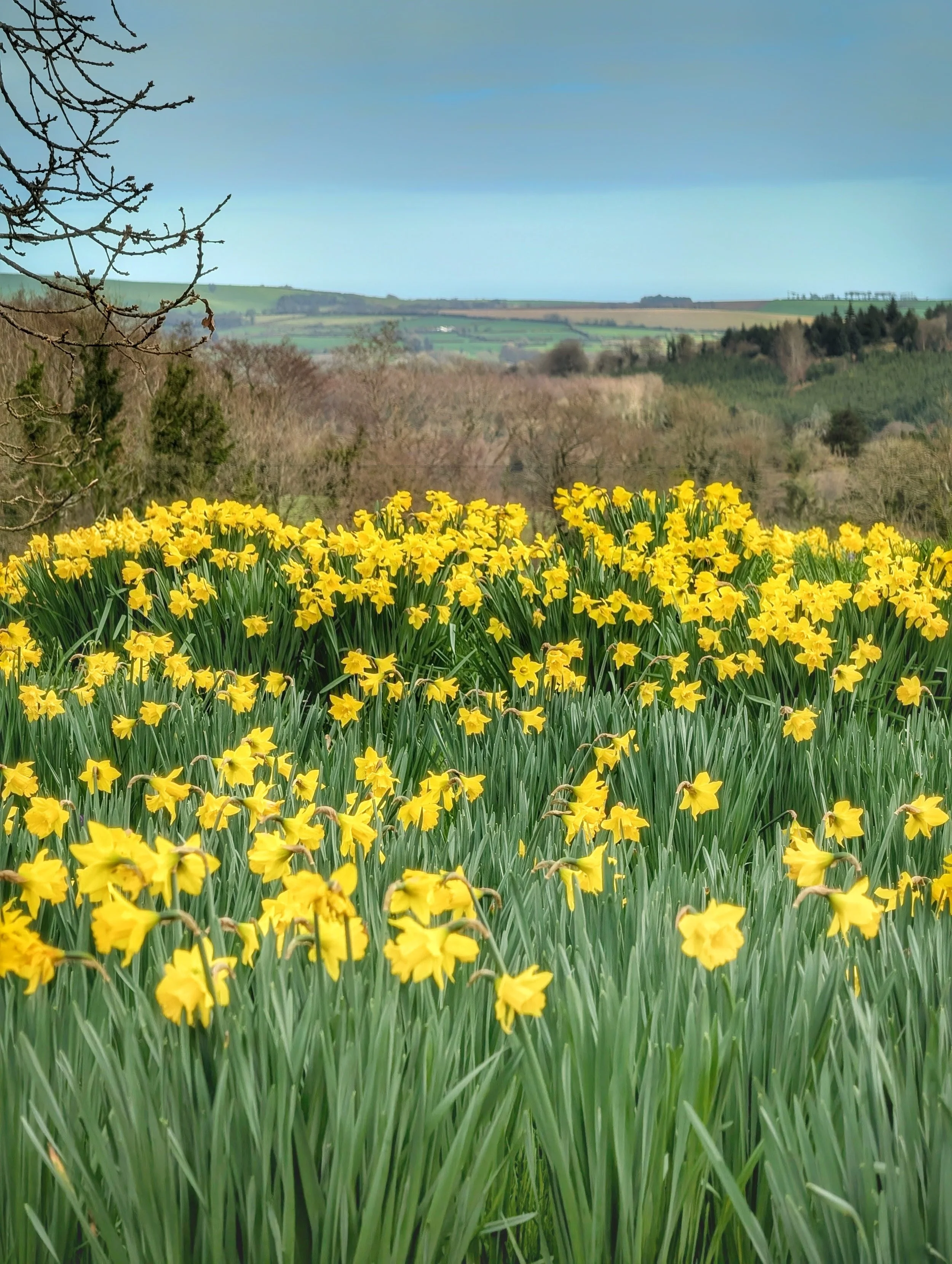 Happy Mother’s Day 2026