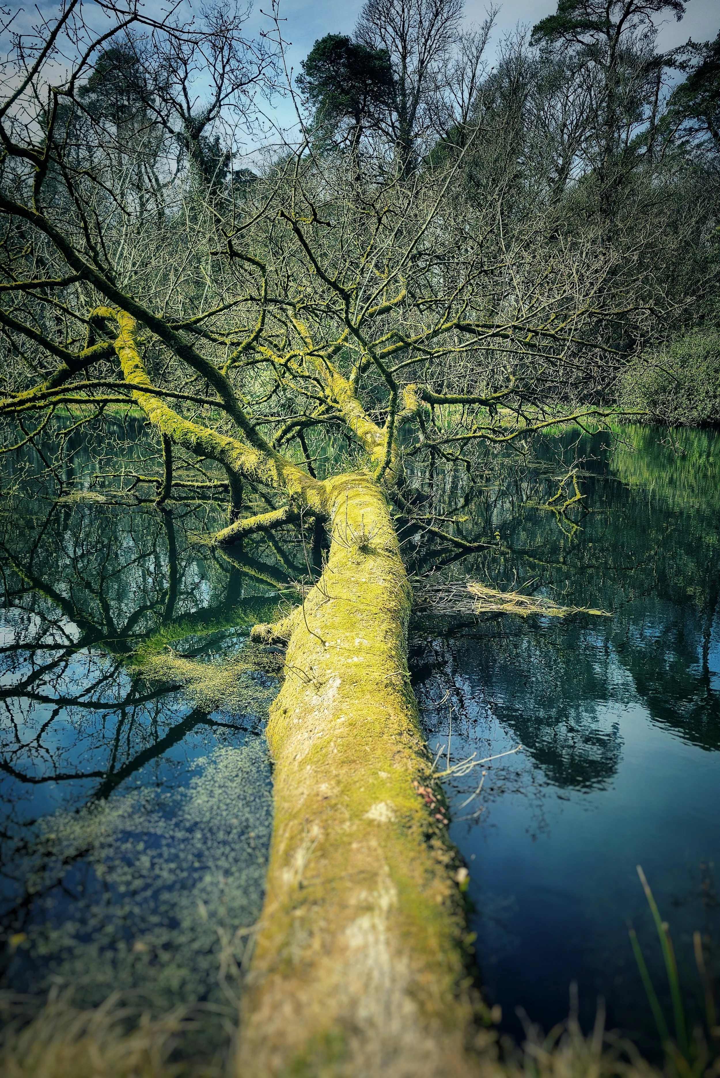 20250331_131743(0) (1) (1).jpg