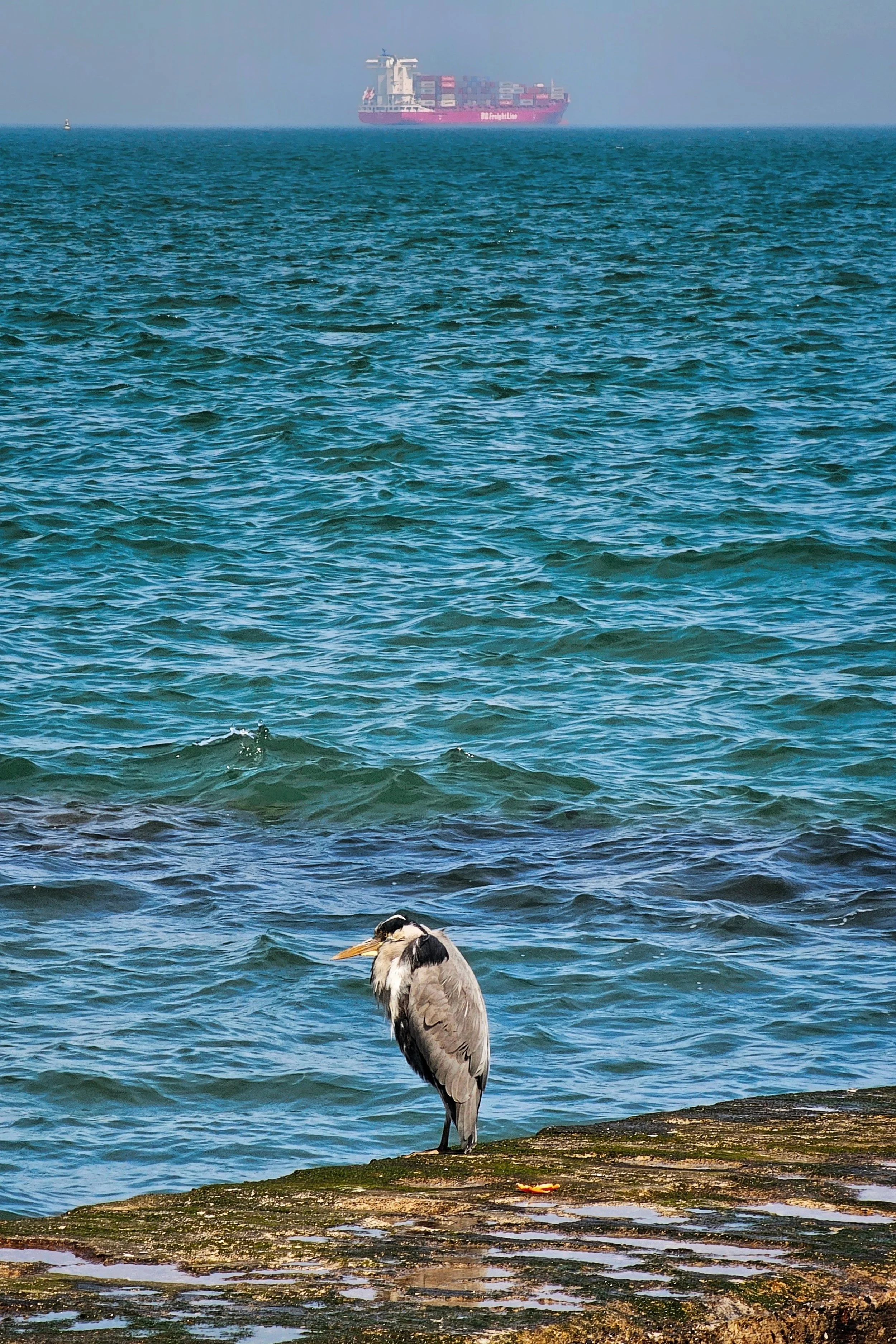 20250430_140651 (1) (1).jpg