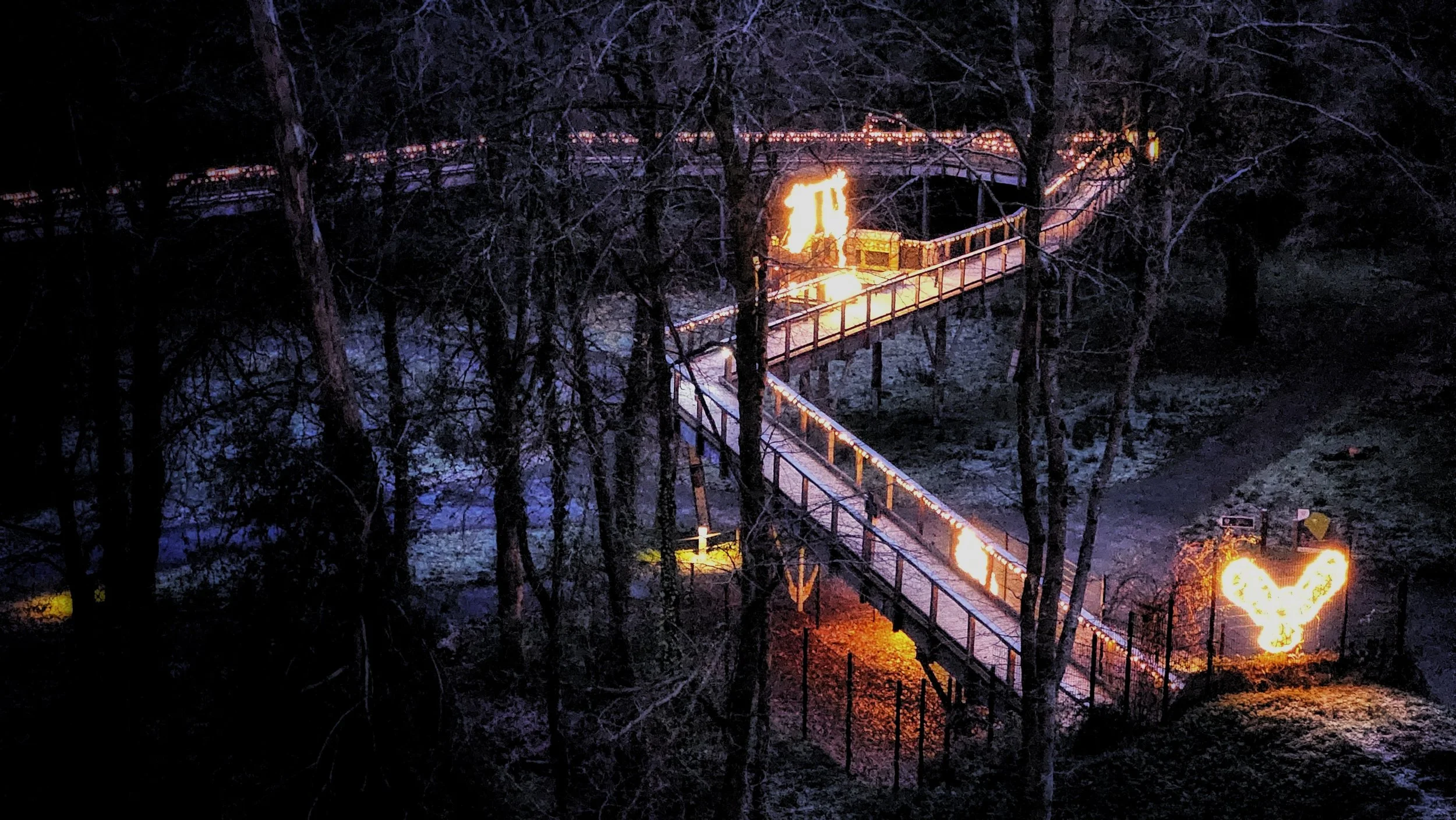 20241120_164905 (1).jpg