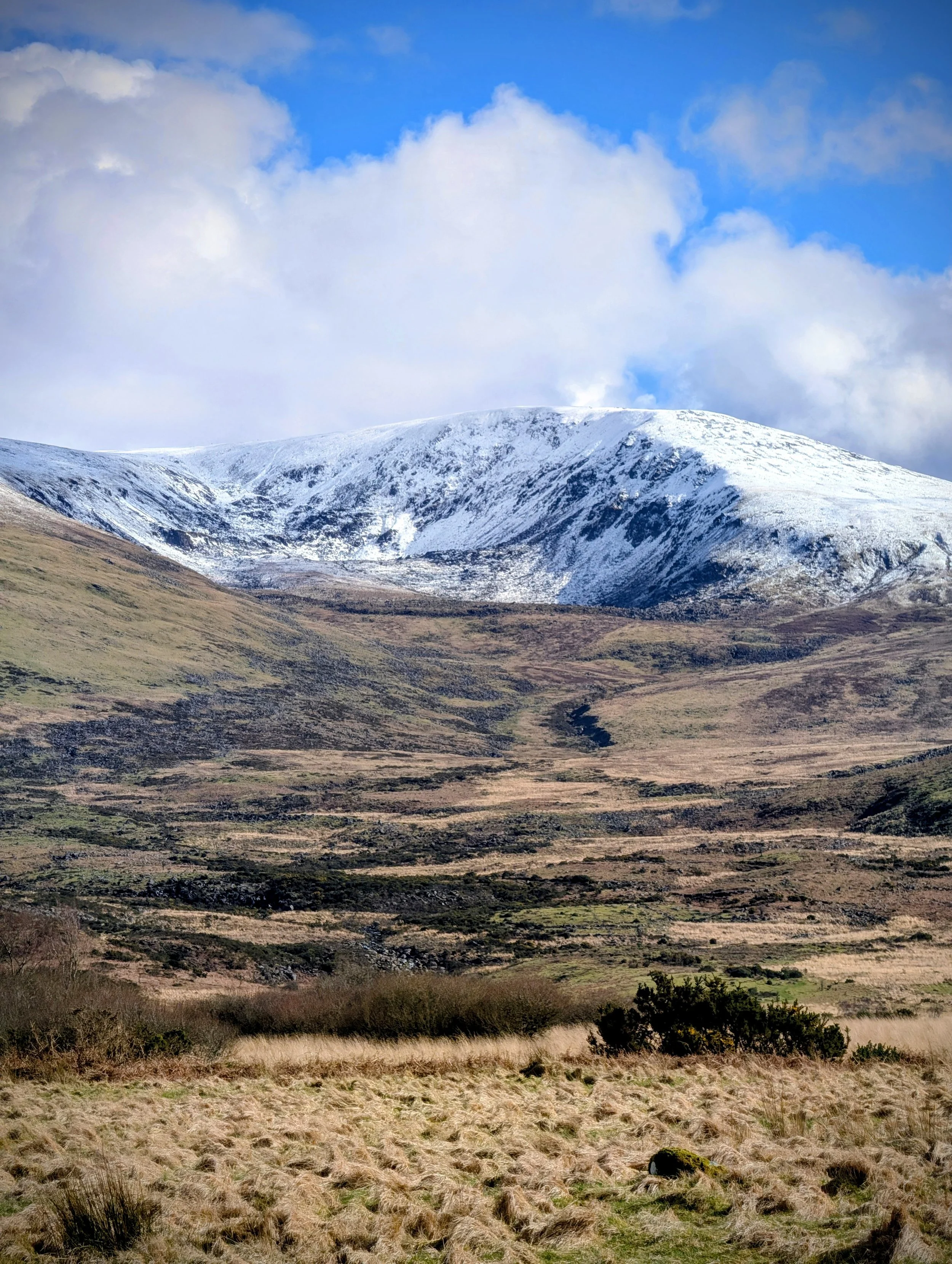 Snow On The Wicklow Slopes