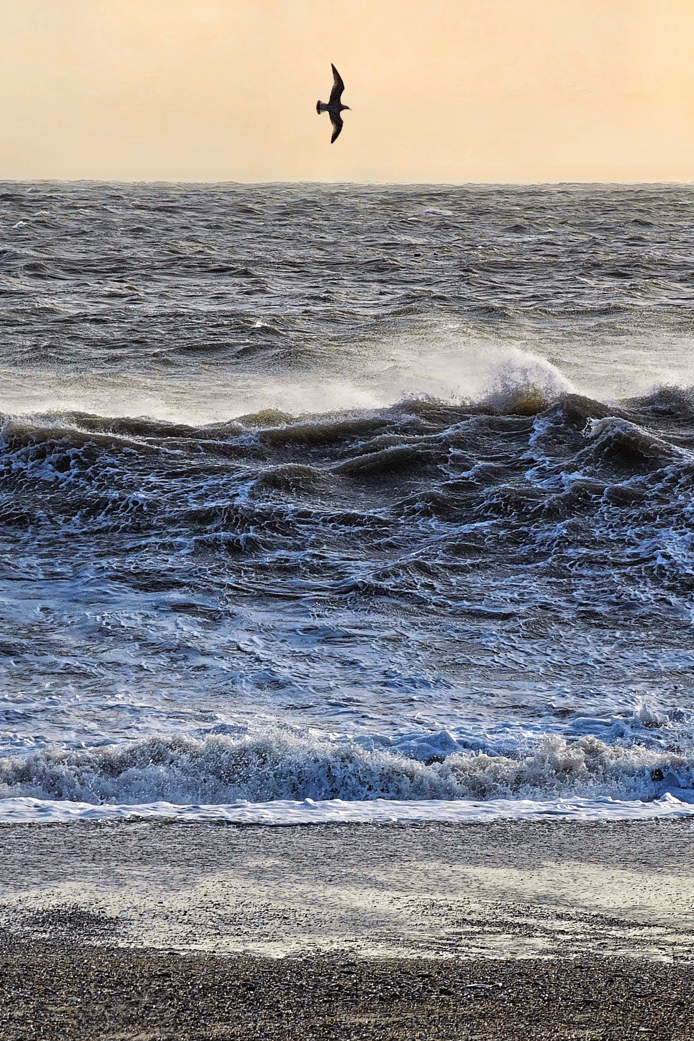 20250124_110409~2 (1)~4.jpg