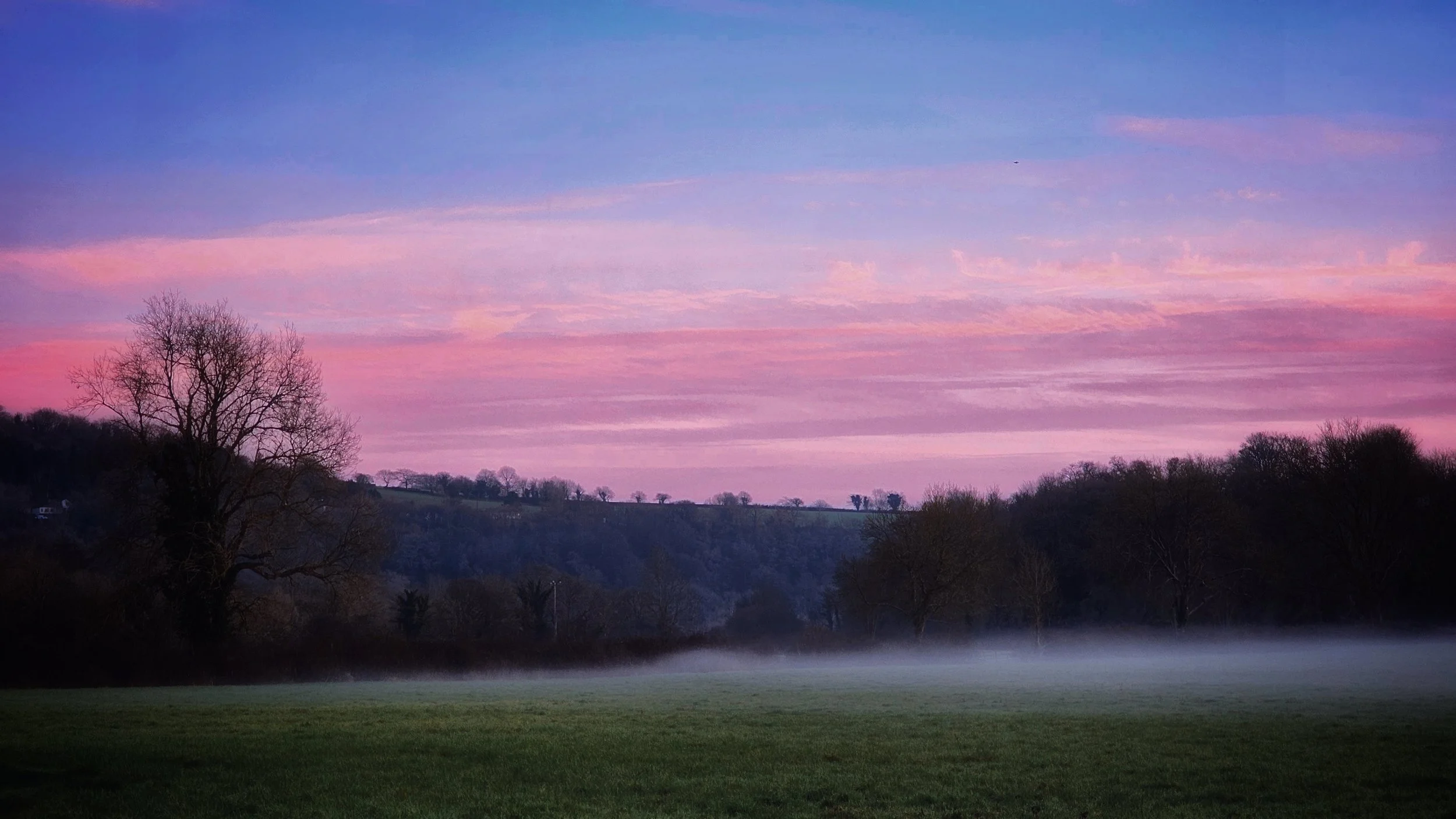 20250121_165500~3 (1).jpg