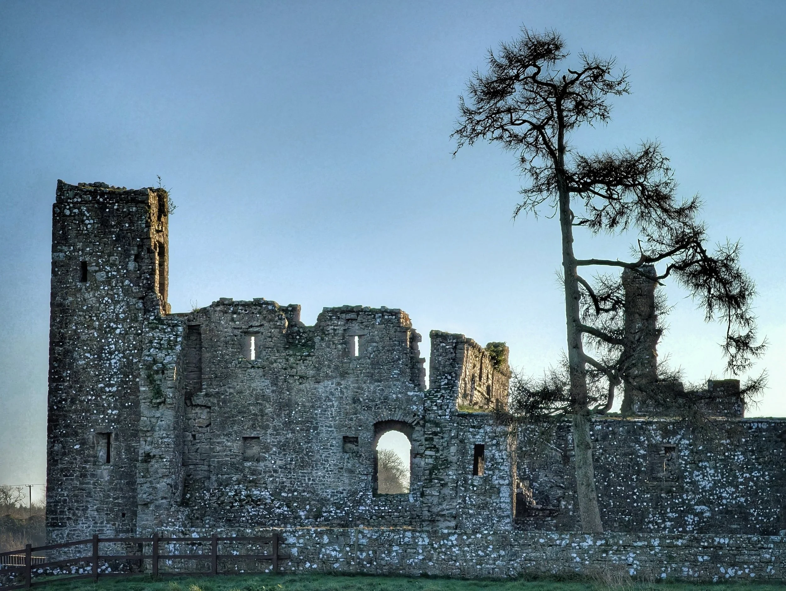 Bective Abbey — Pocket Ireland