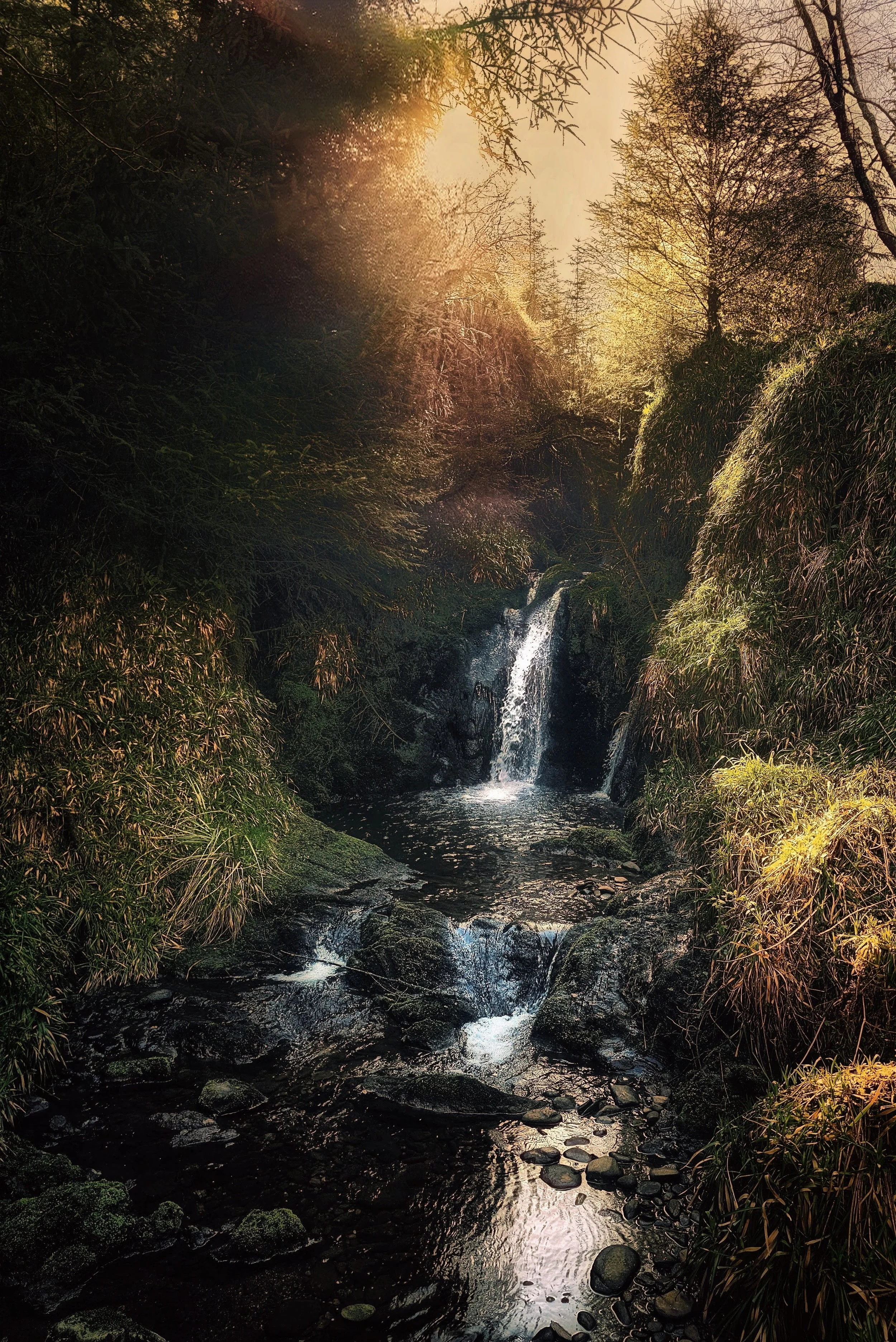 20250407_100444~2 (1).jpg