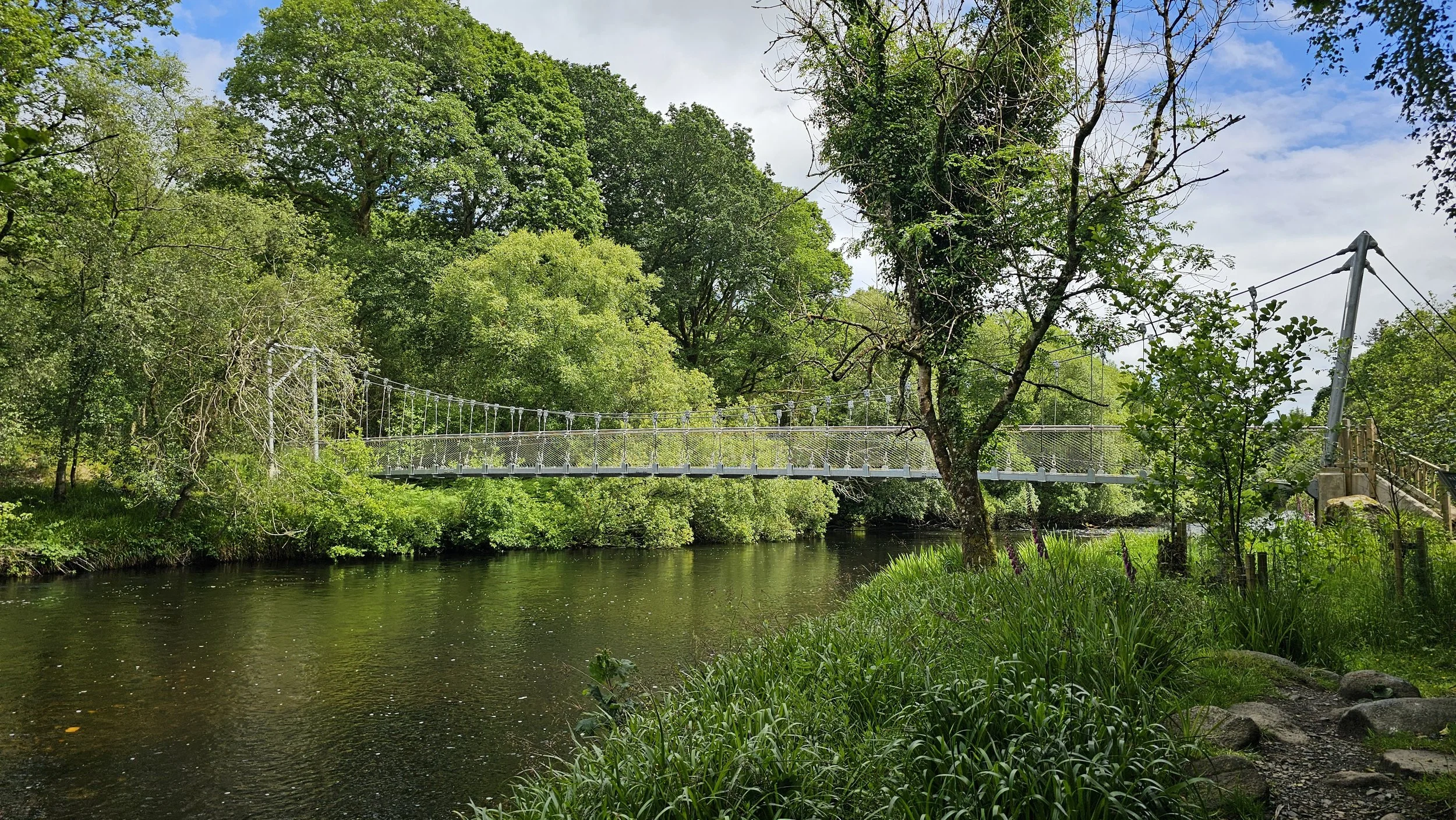 Ballygannon Wood and Stump of the Castle, County Wicklow