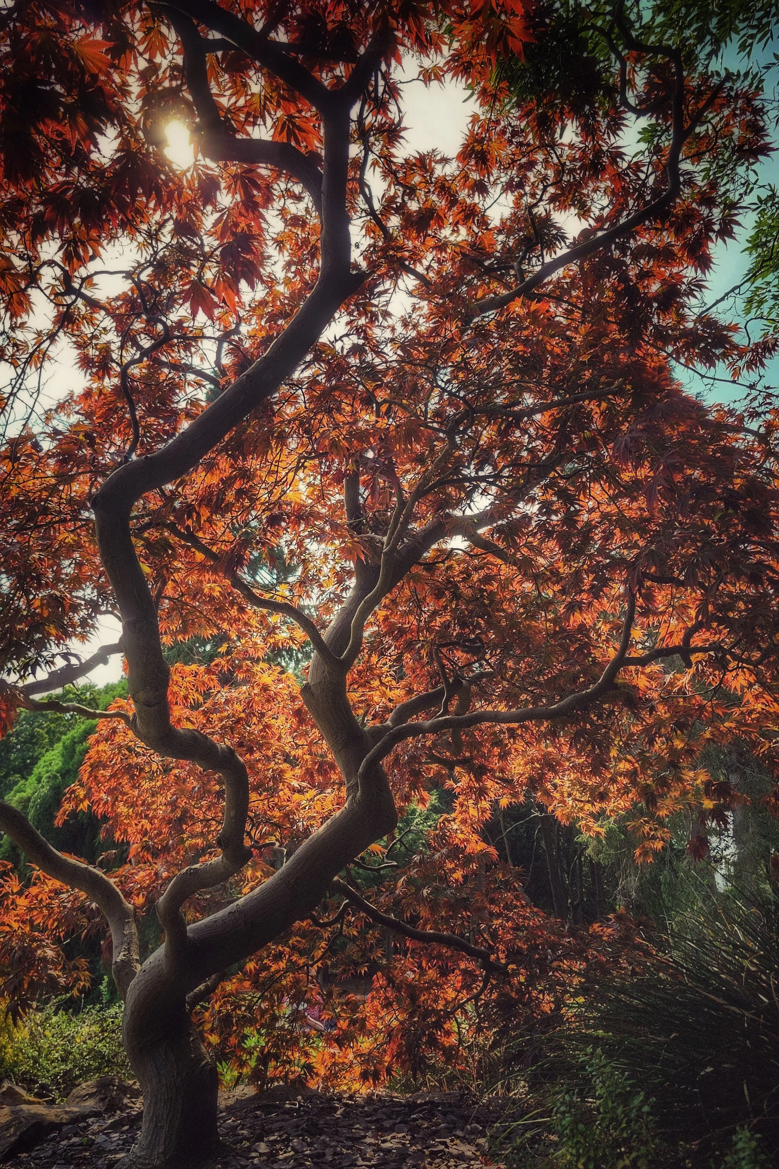 20250817_133111~2 (1).jpg