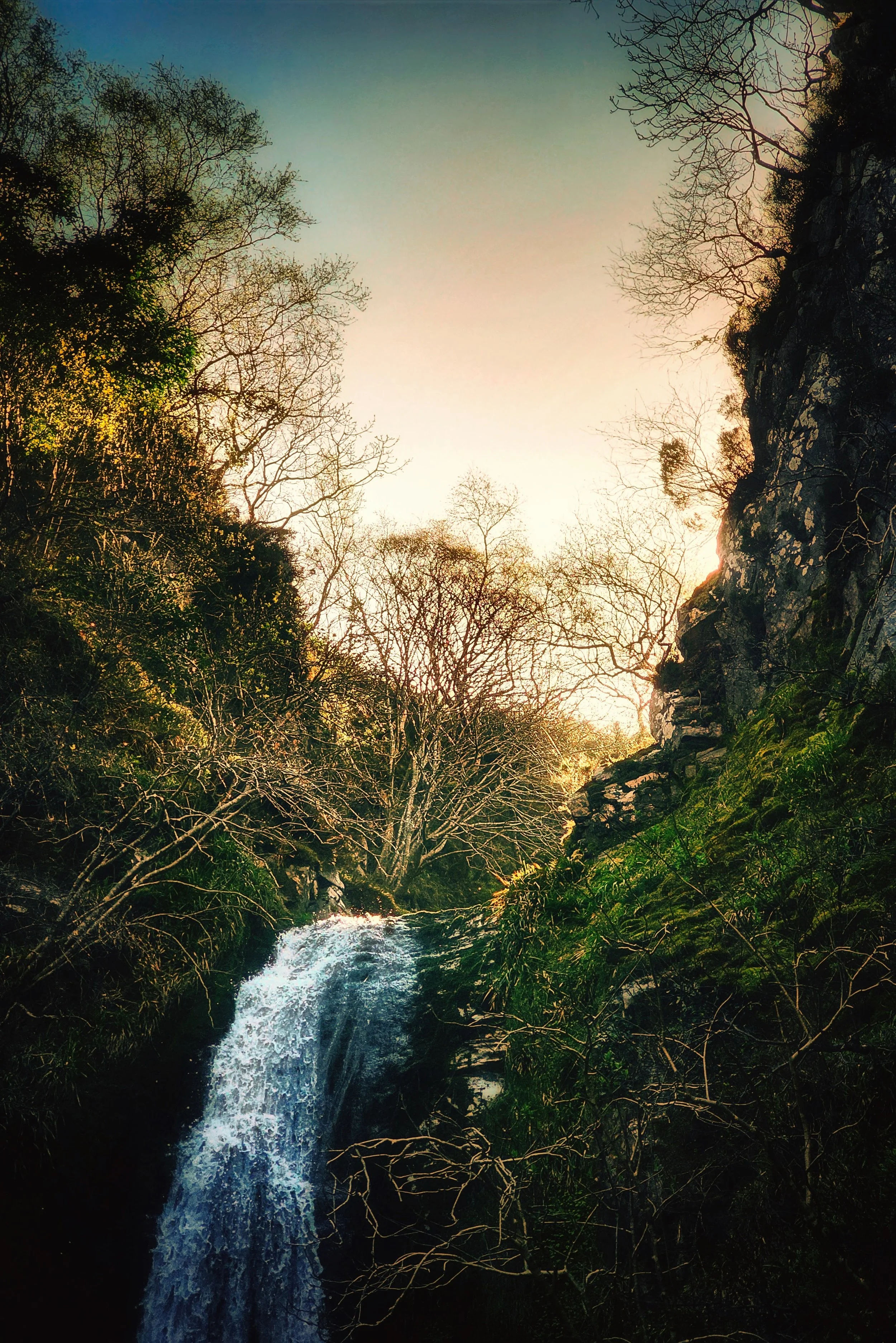 20250405_111801 (1).jpg