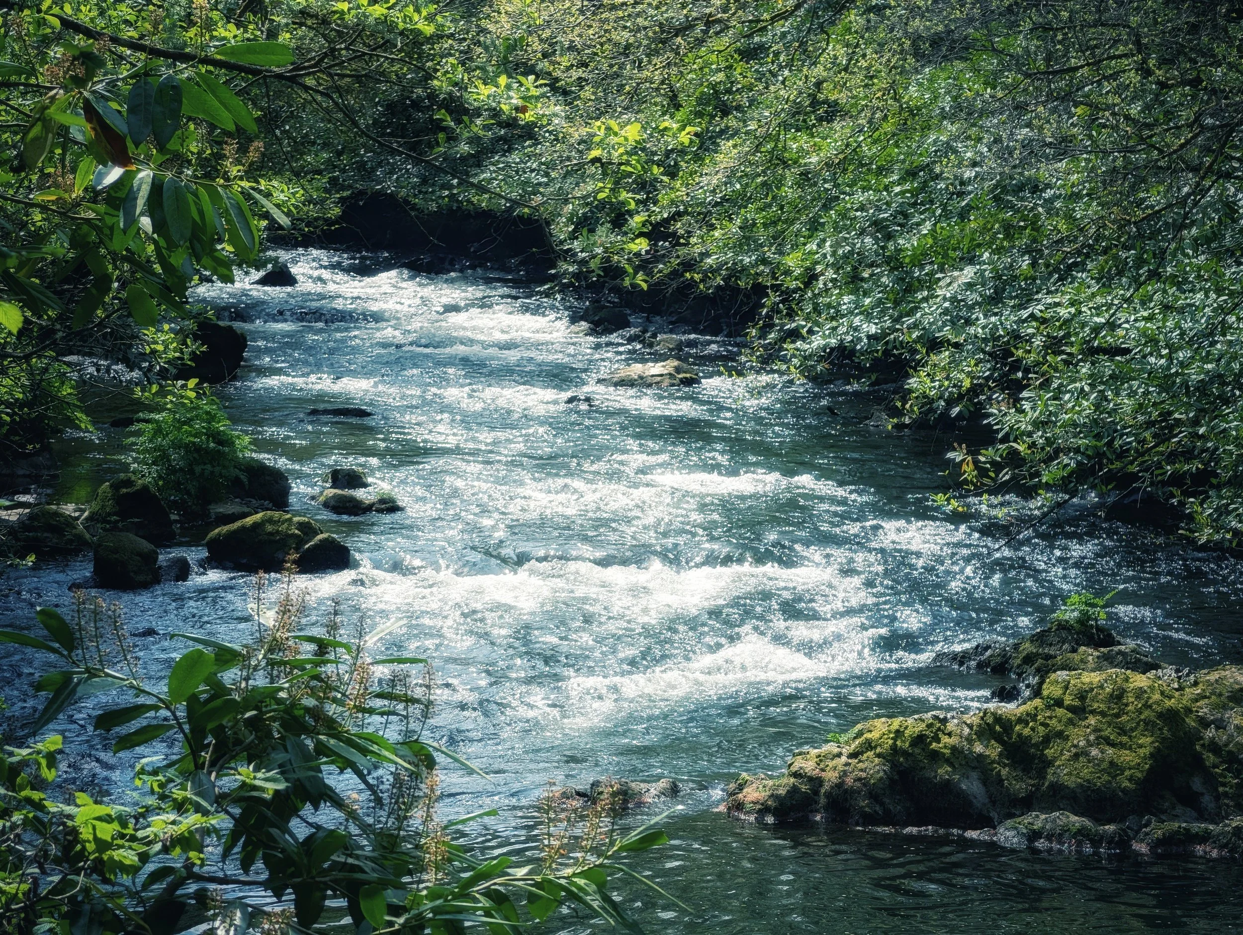 The Secret Rivers of Ireland — Pocket Ireland