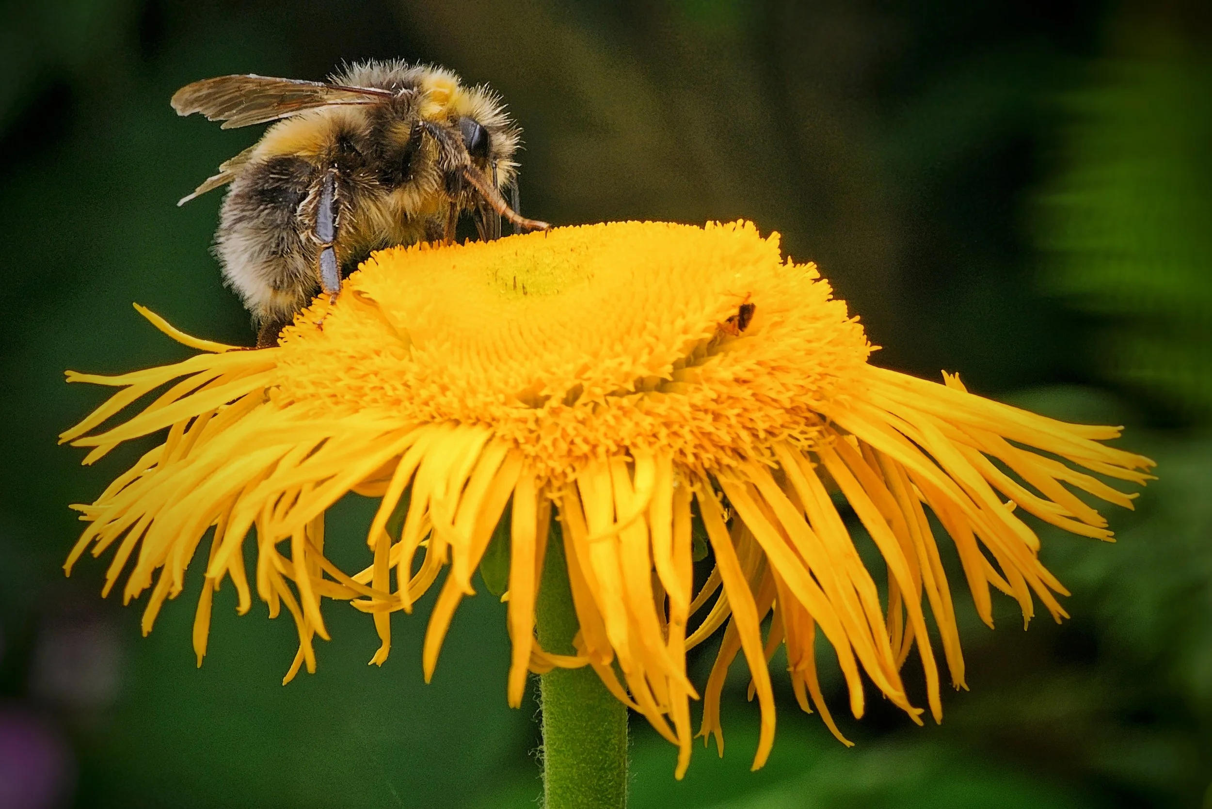 20250722_133925 (1).jpg