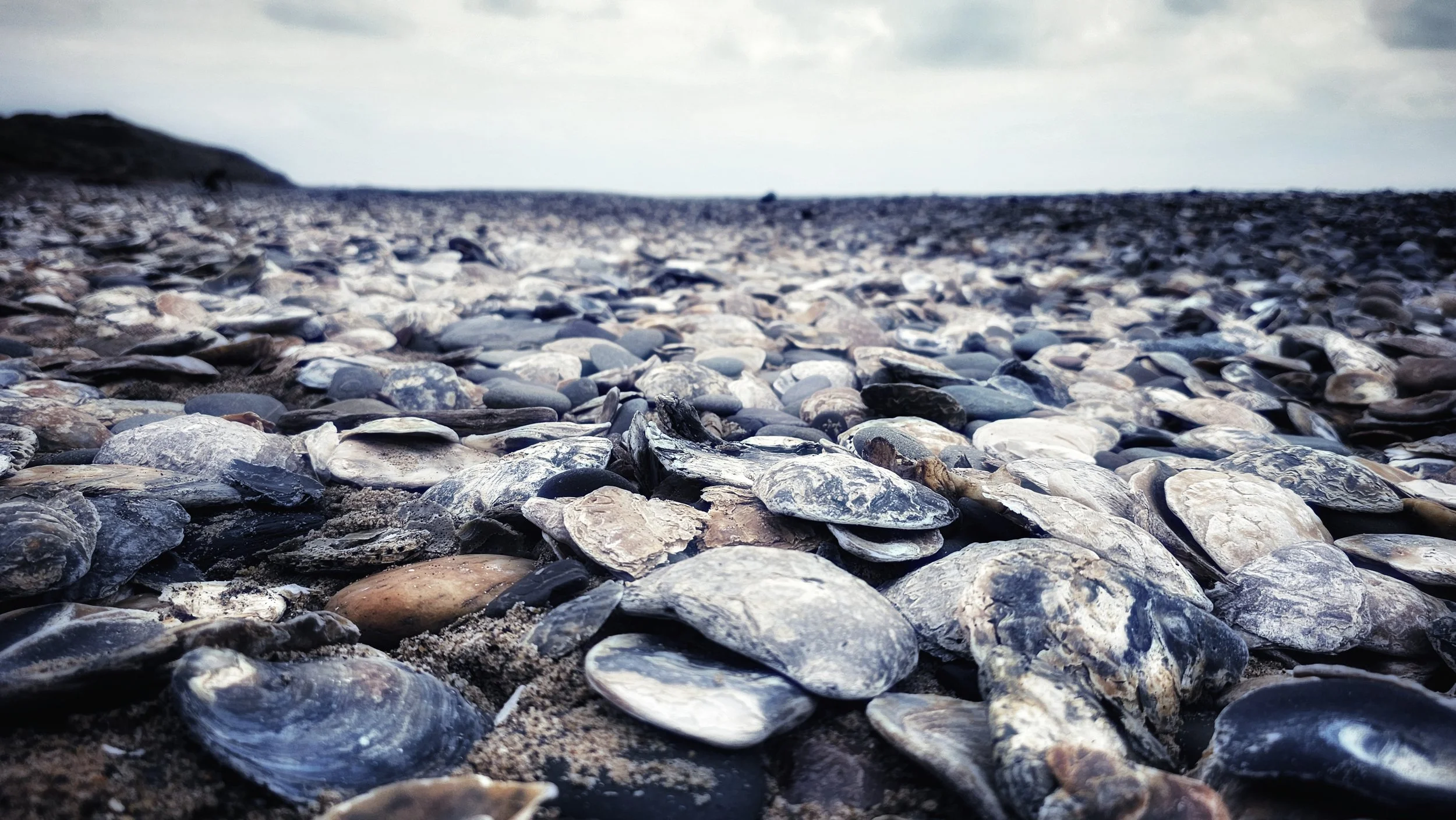 Ennereilly Beach, County Wicklow