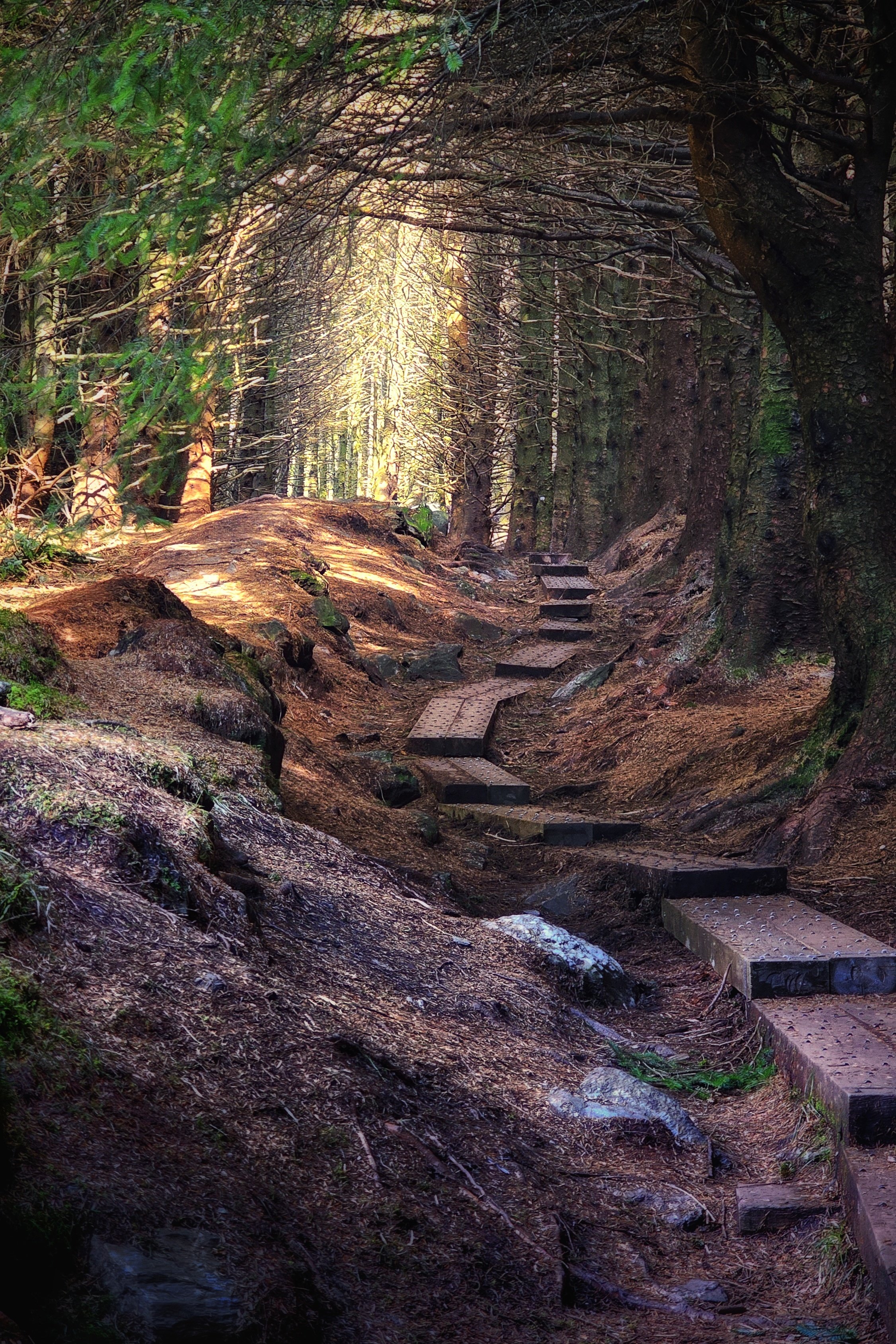 20250318_120859 (1).jpg