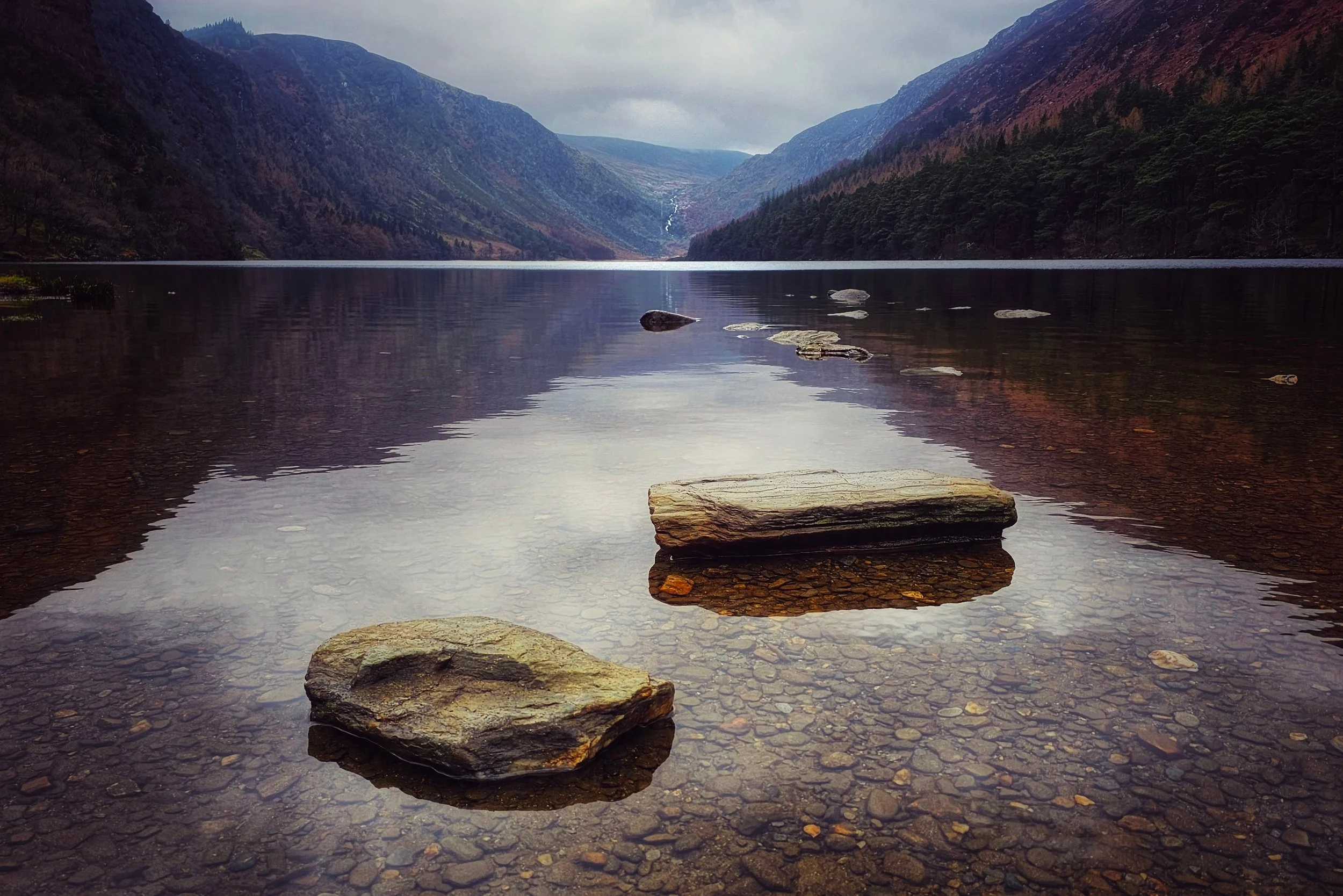 20250210_125426 (1).jpg