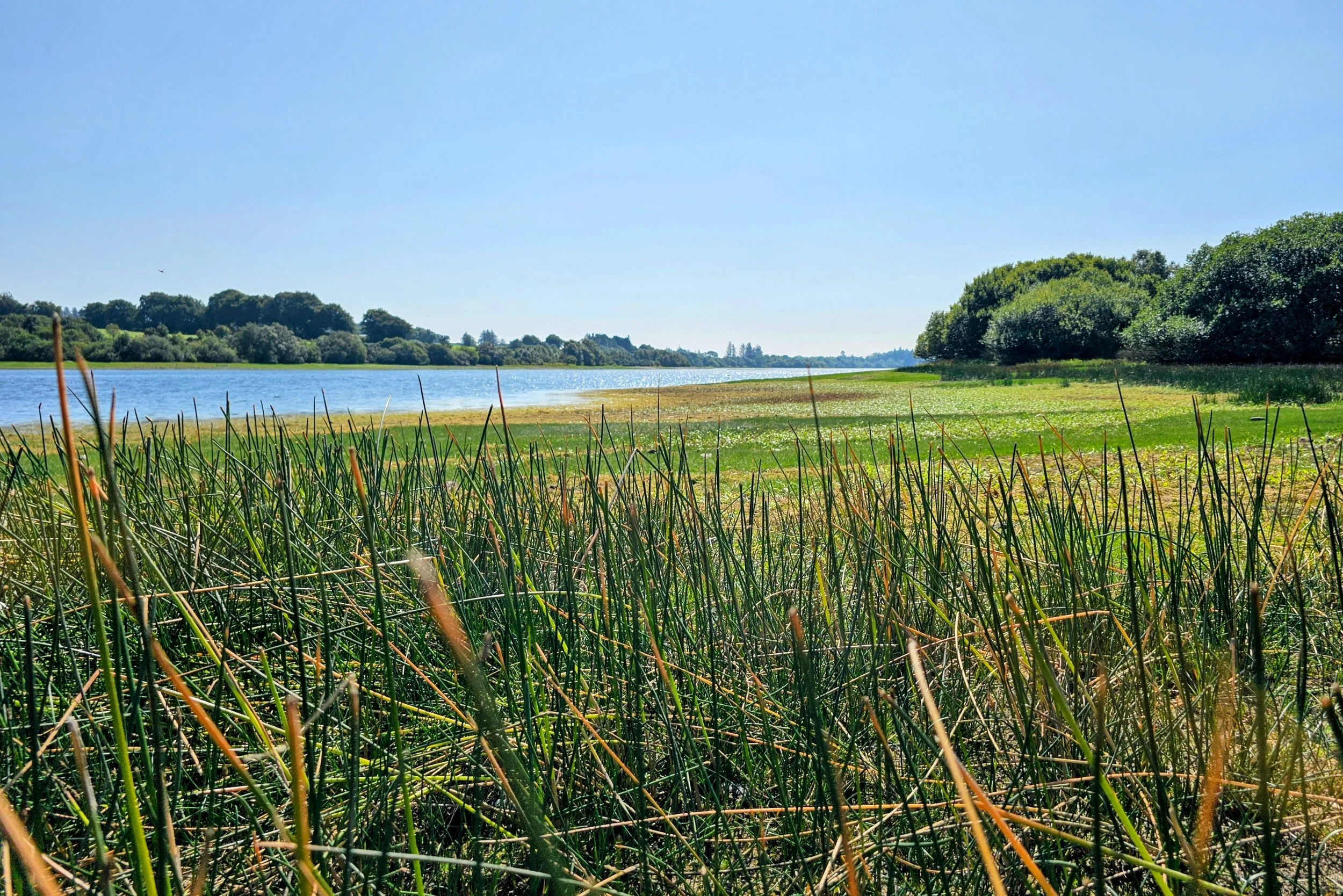 Vartry Reservoir, County Wicklow