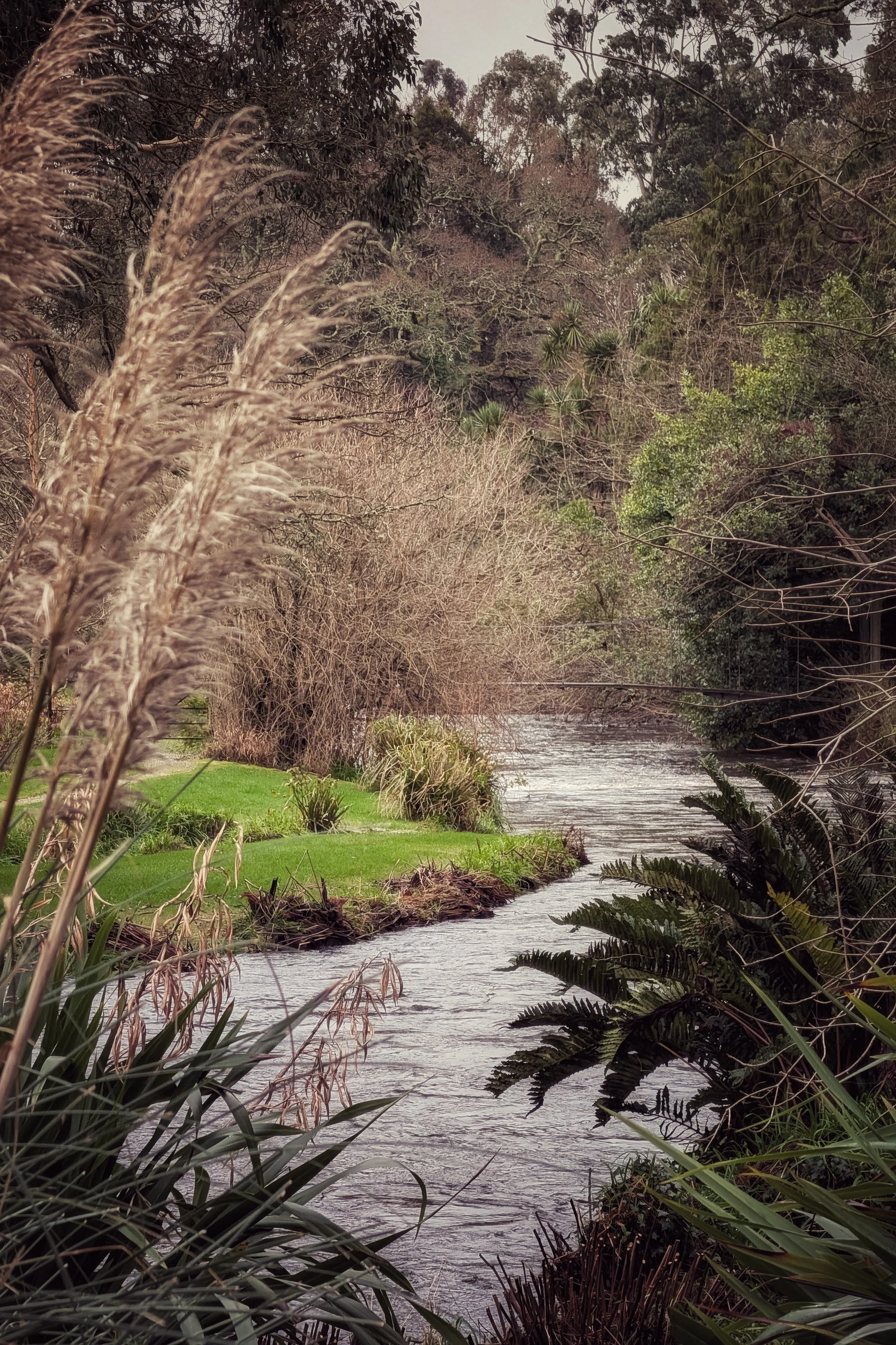 Finding Colour in Grey Days