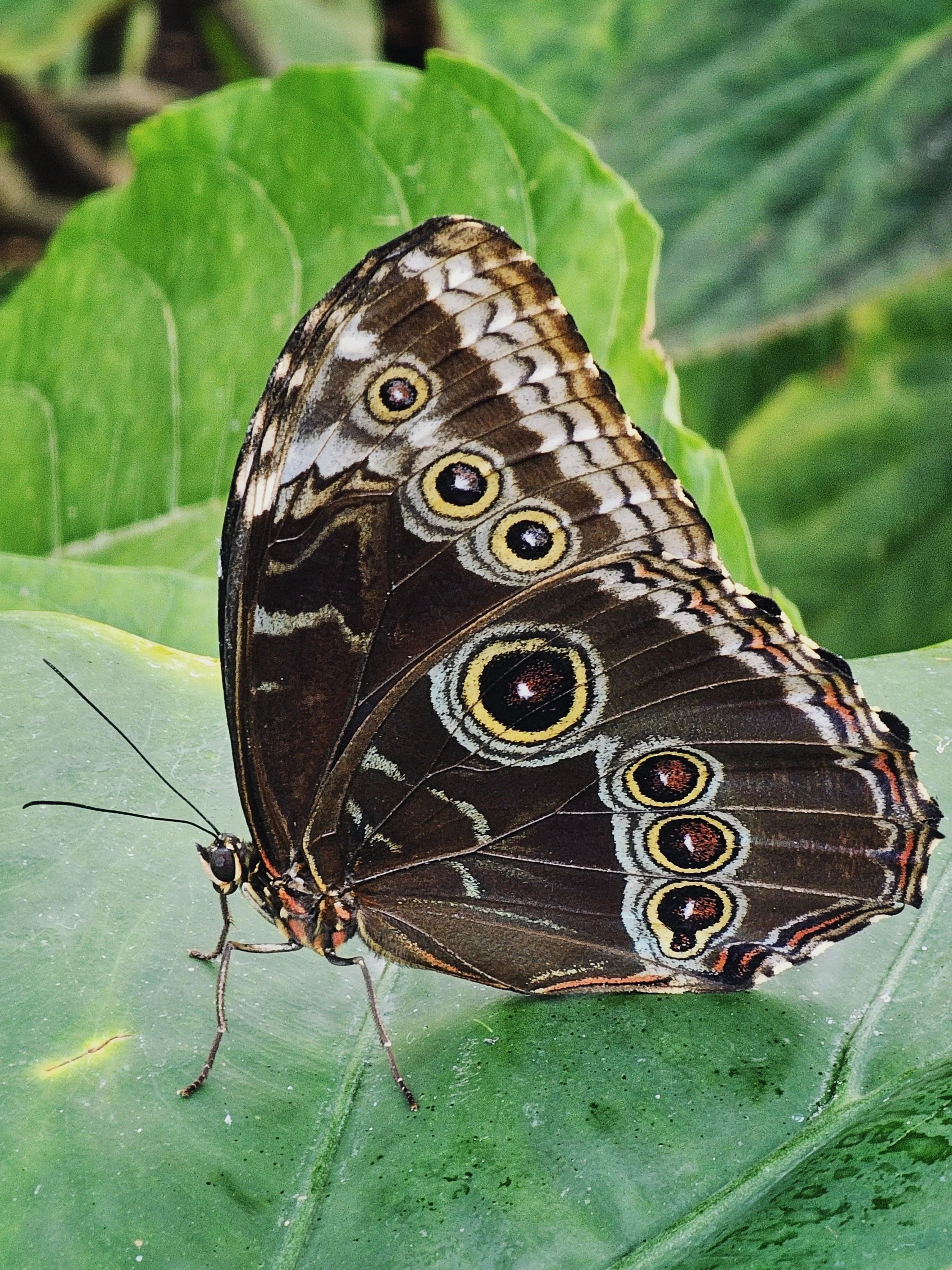 20250320_113324 (1).jpg