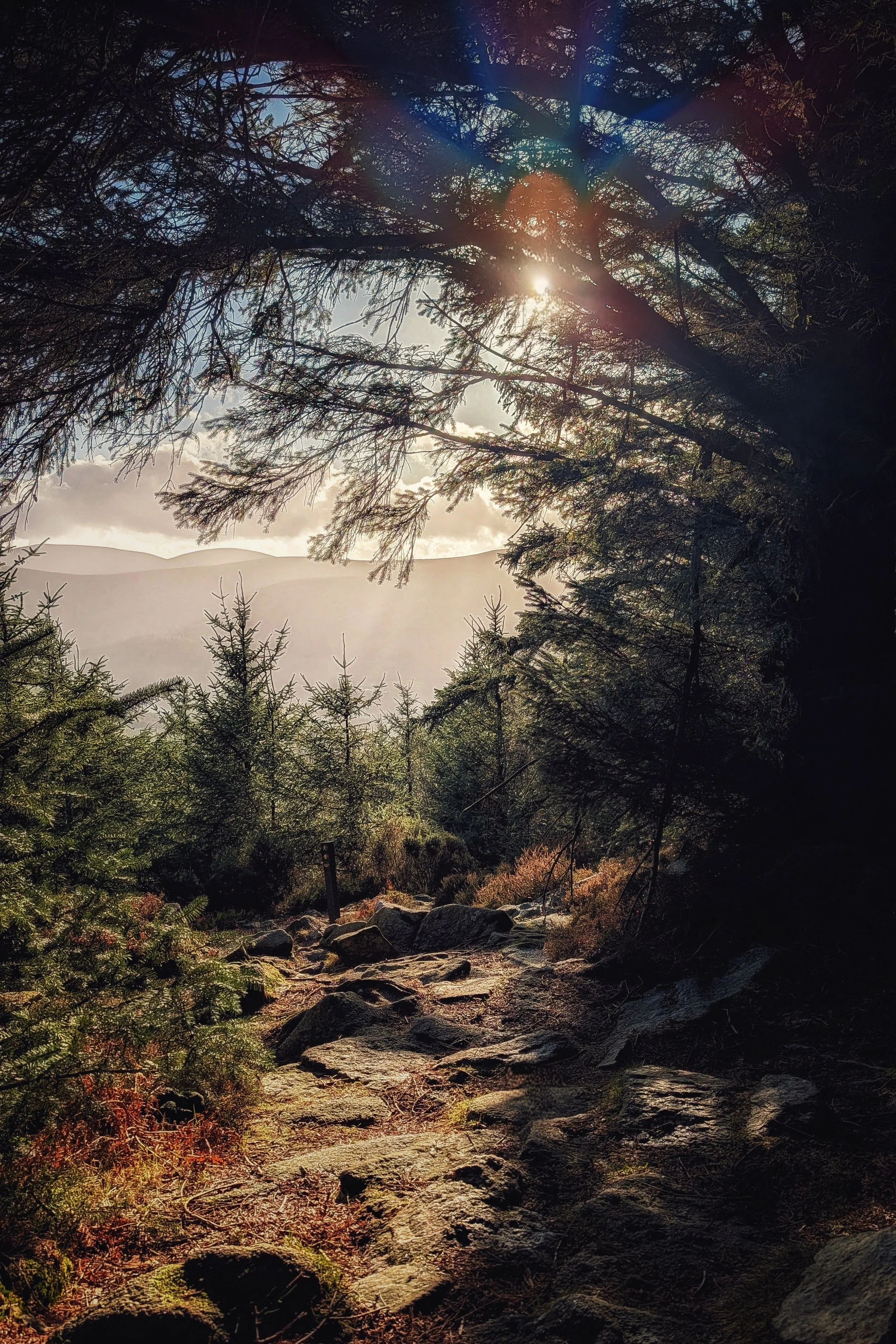 The Sunlight’s Return