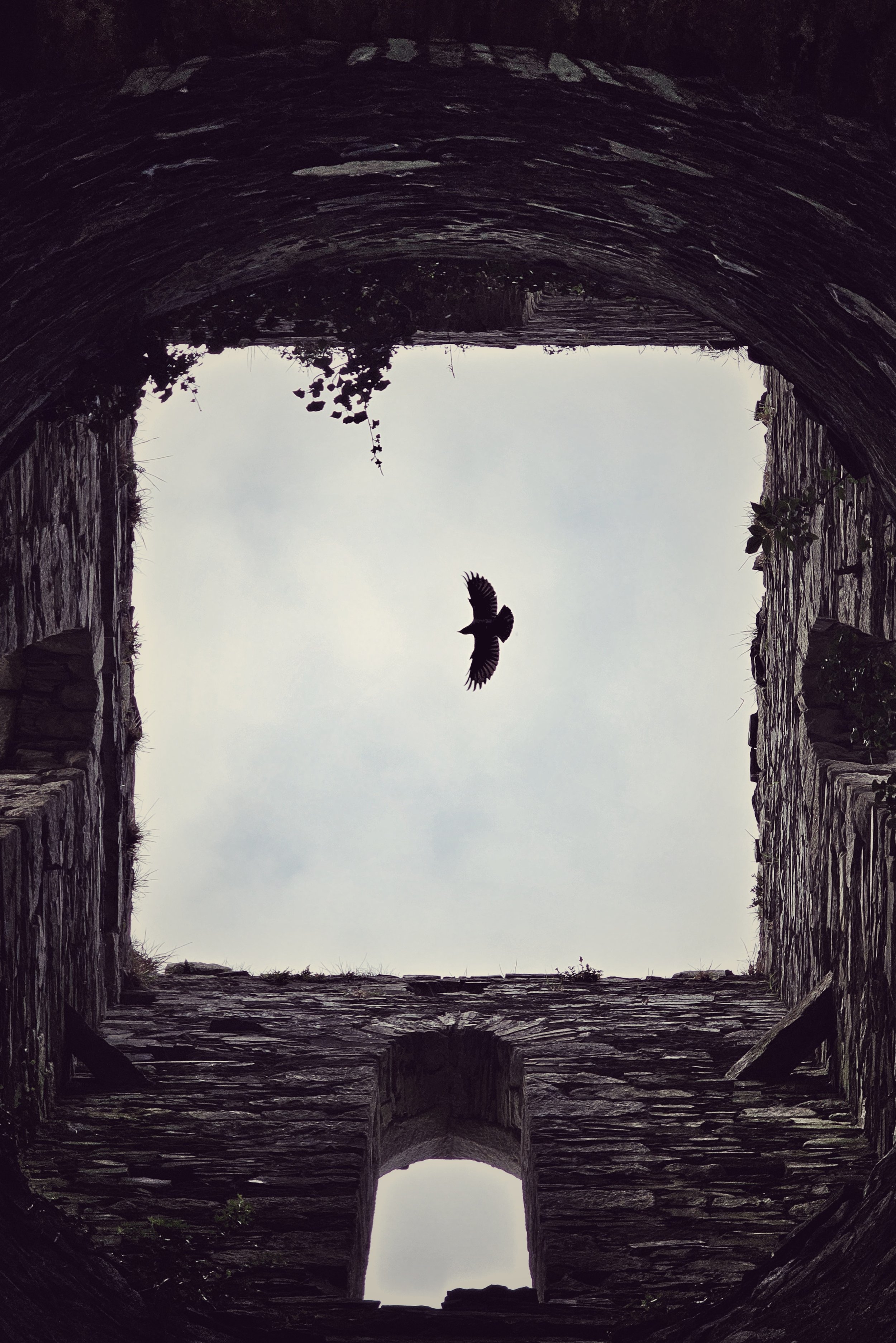 20250414_180323 (1).jpg