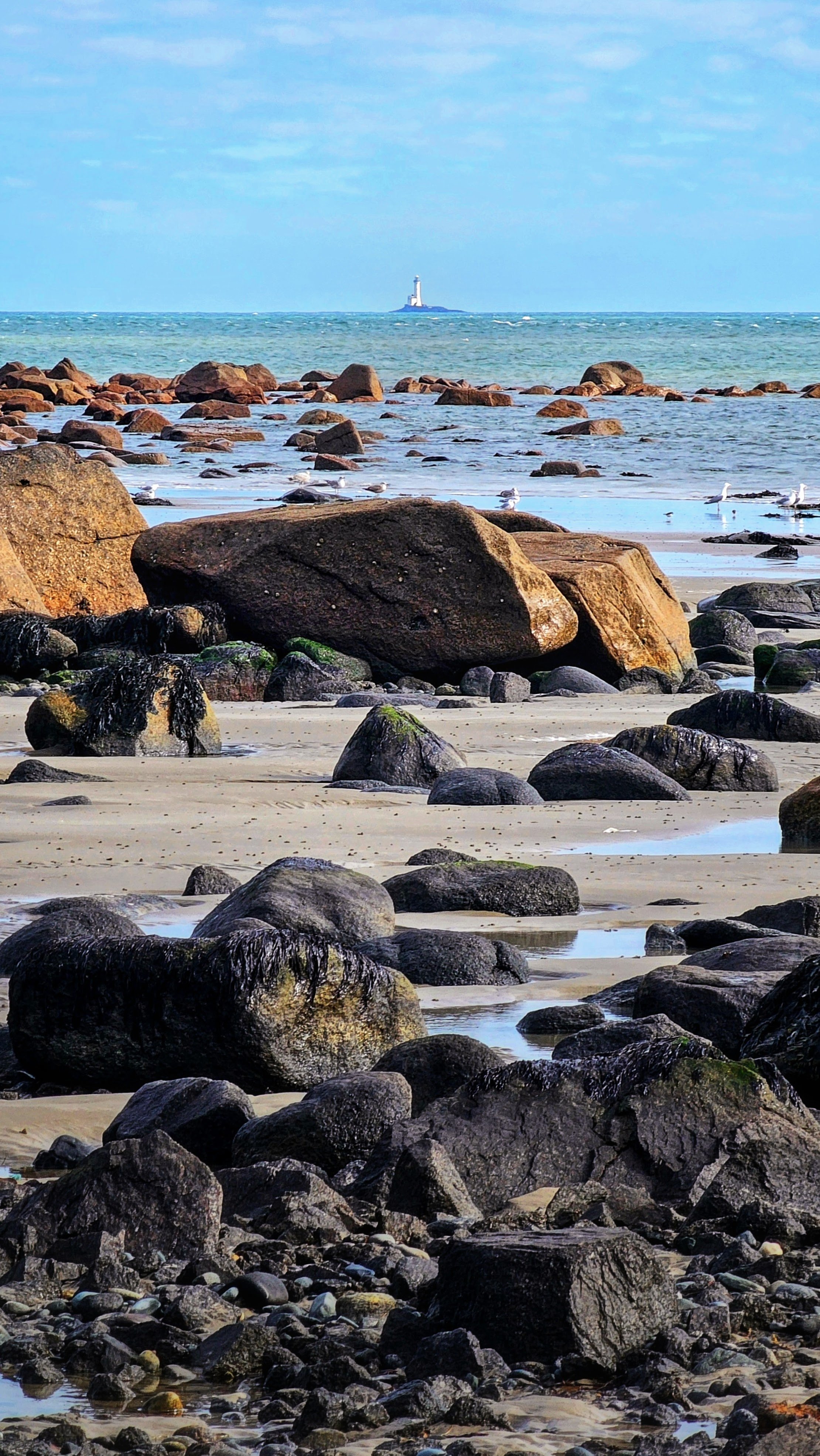 20250302_120409~2 (1) (1).jpg