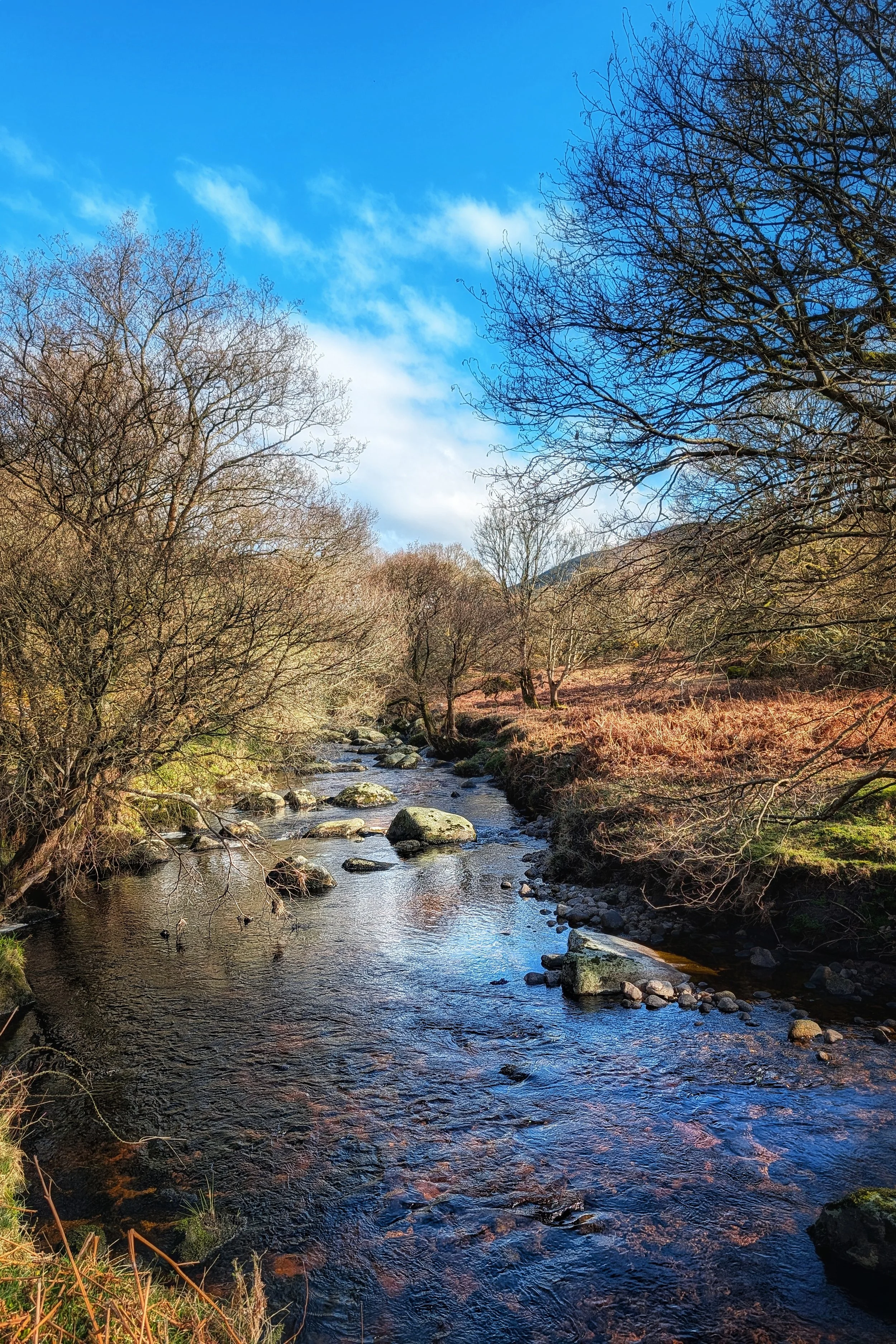 Springtime Flow in Wicklow — Pocket Ireland