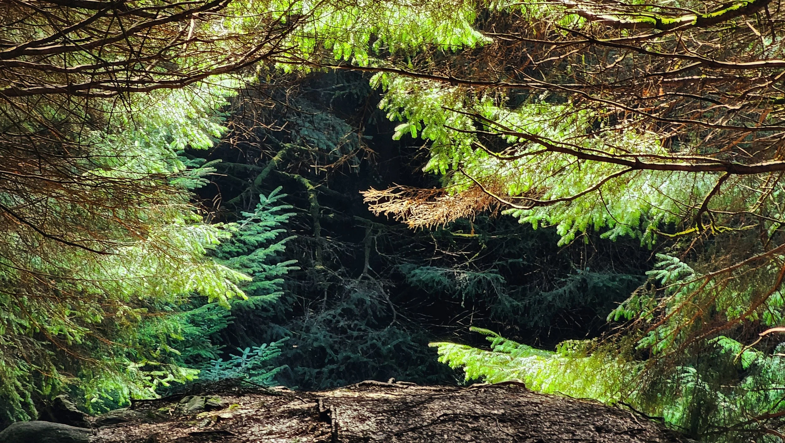 20250318_121039 (1).jpg