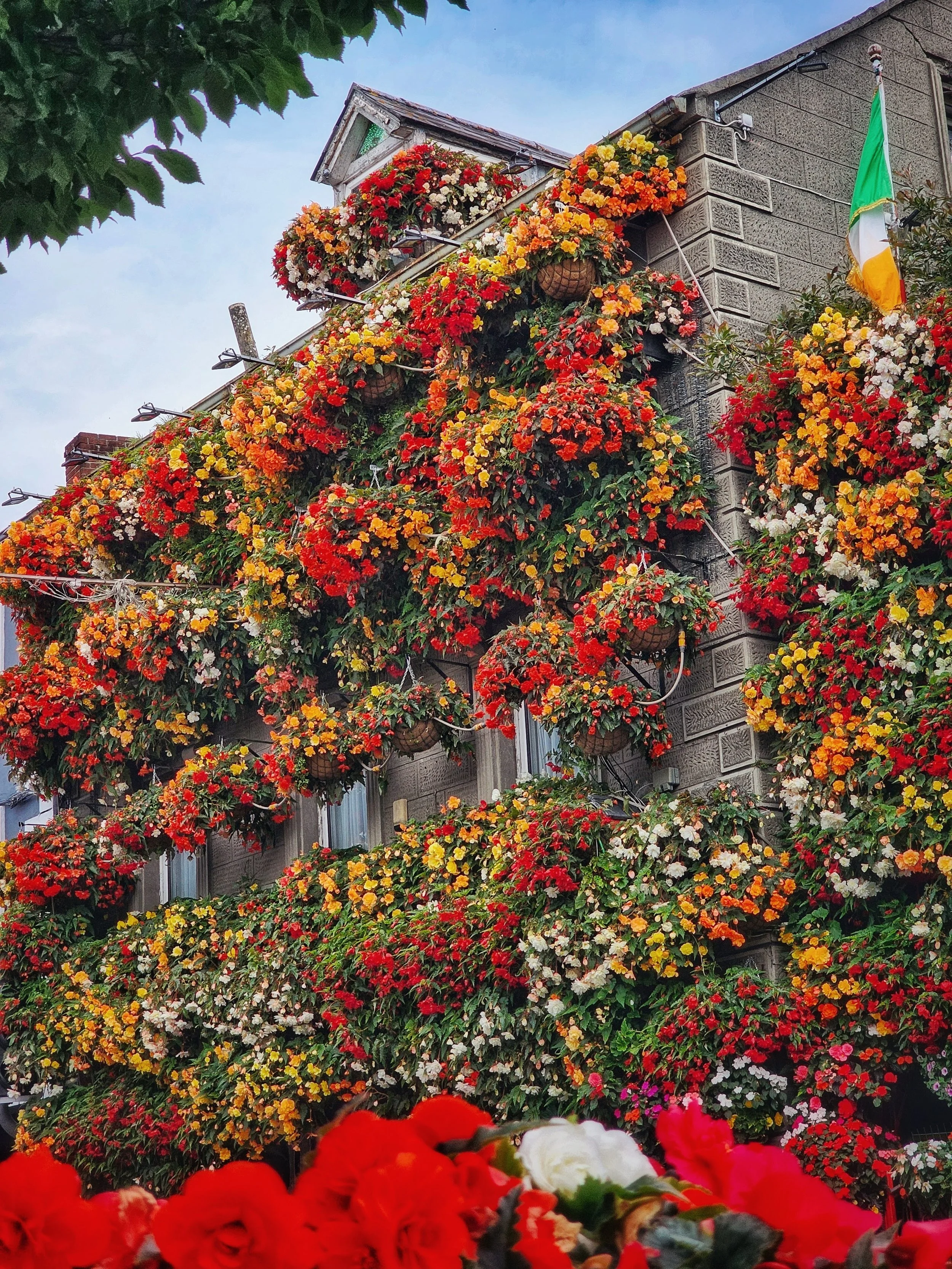 Graiguenamanagh, County Kilkenny