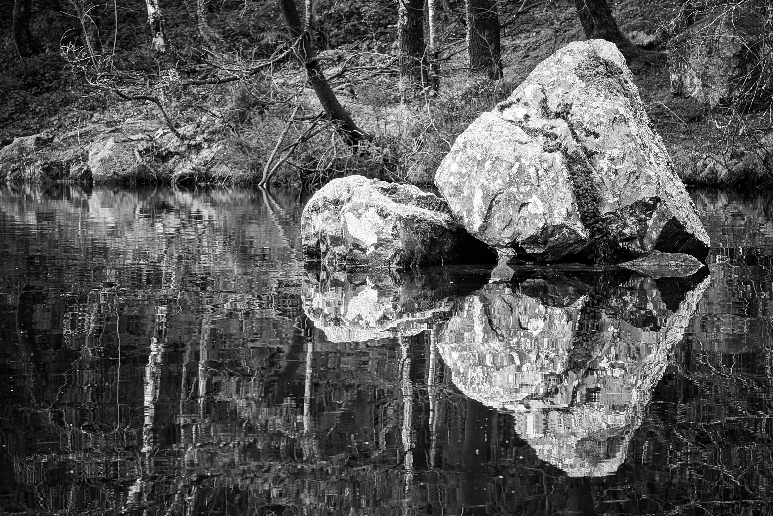 Mirror Image in Monochrome