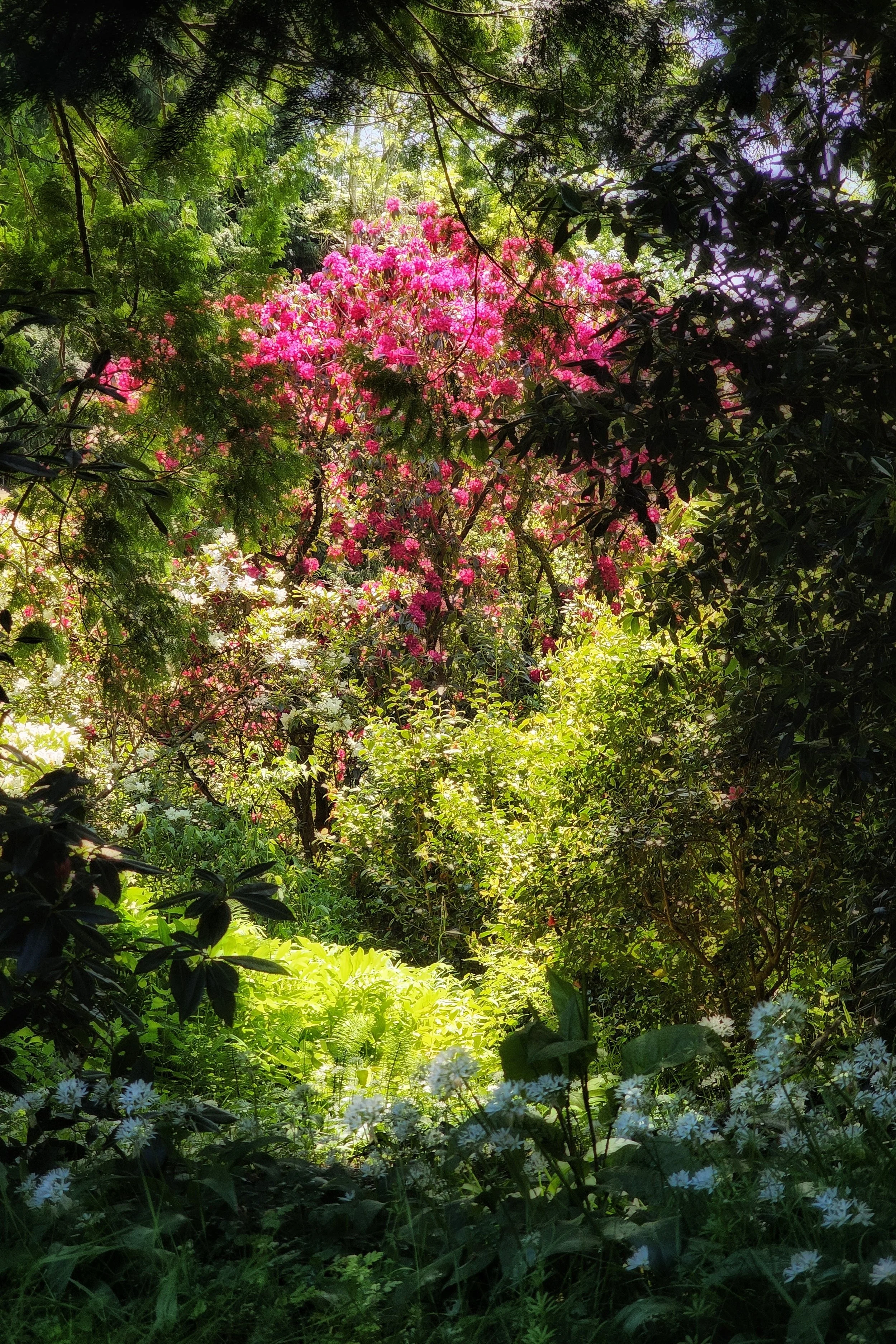 20250513_122352 (1).jpg