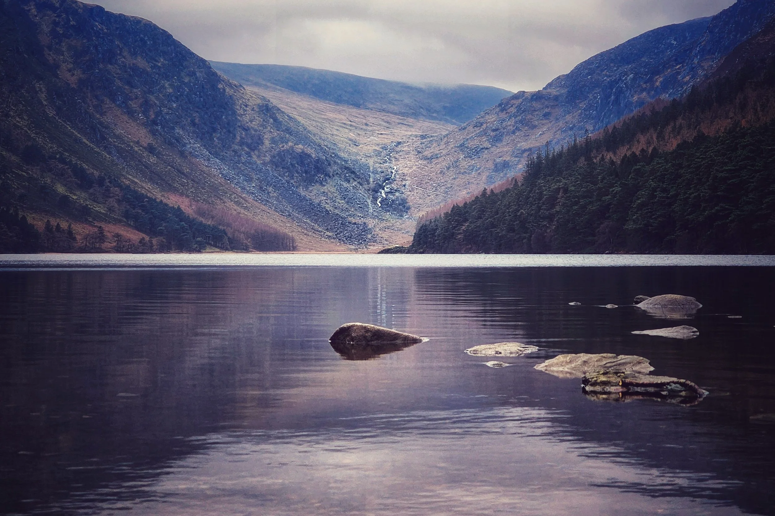 20250210_125438 (1).jpg