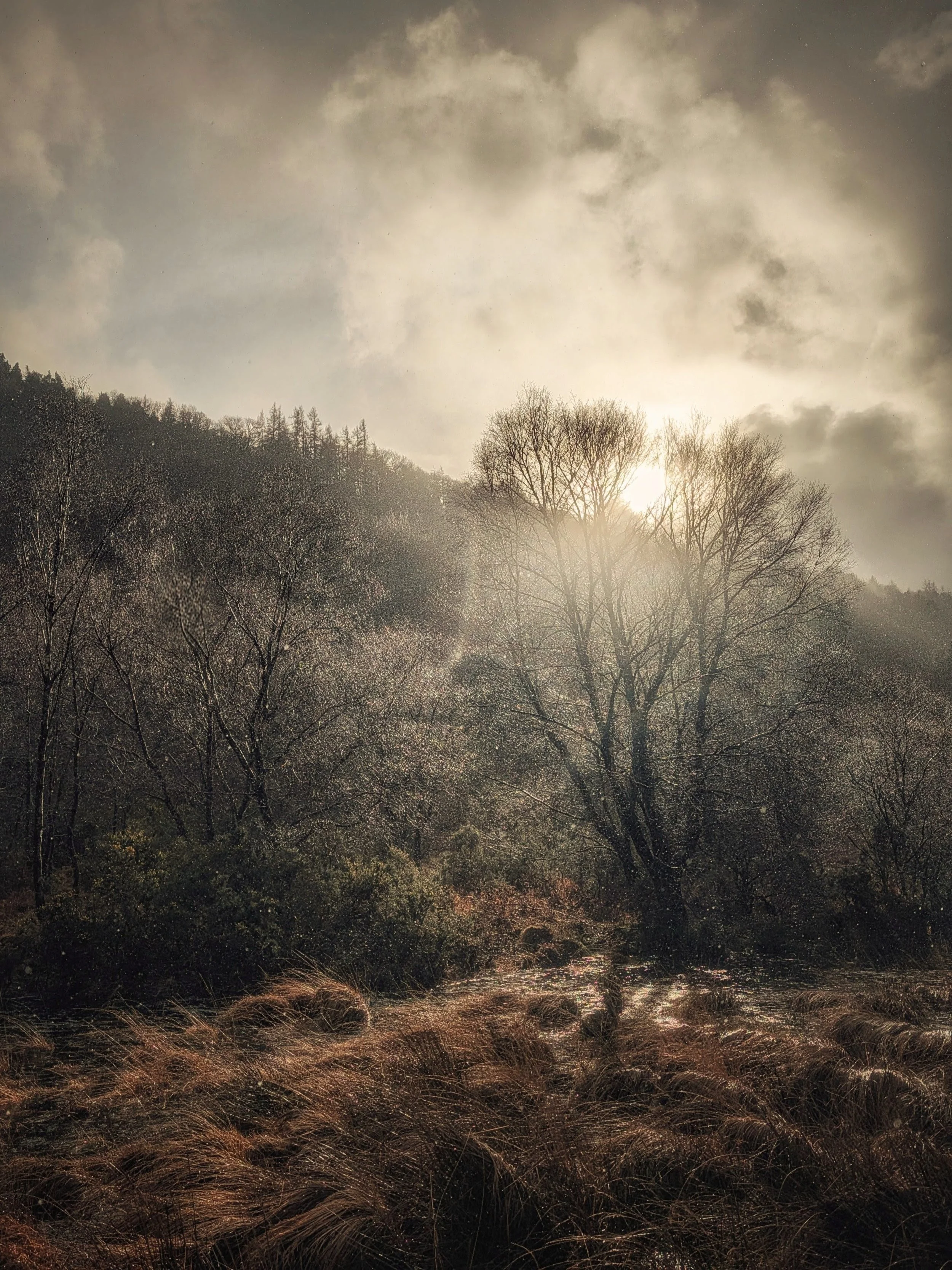 When Light Meets Rain