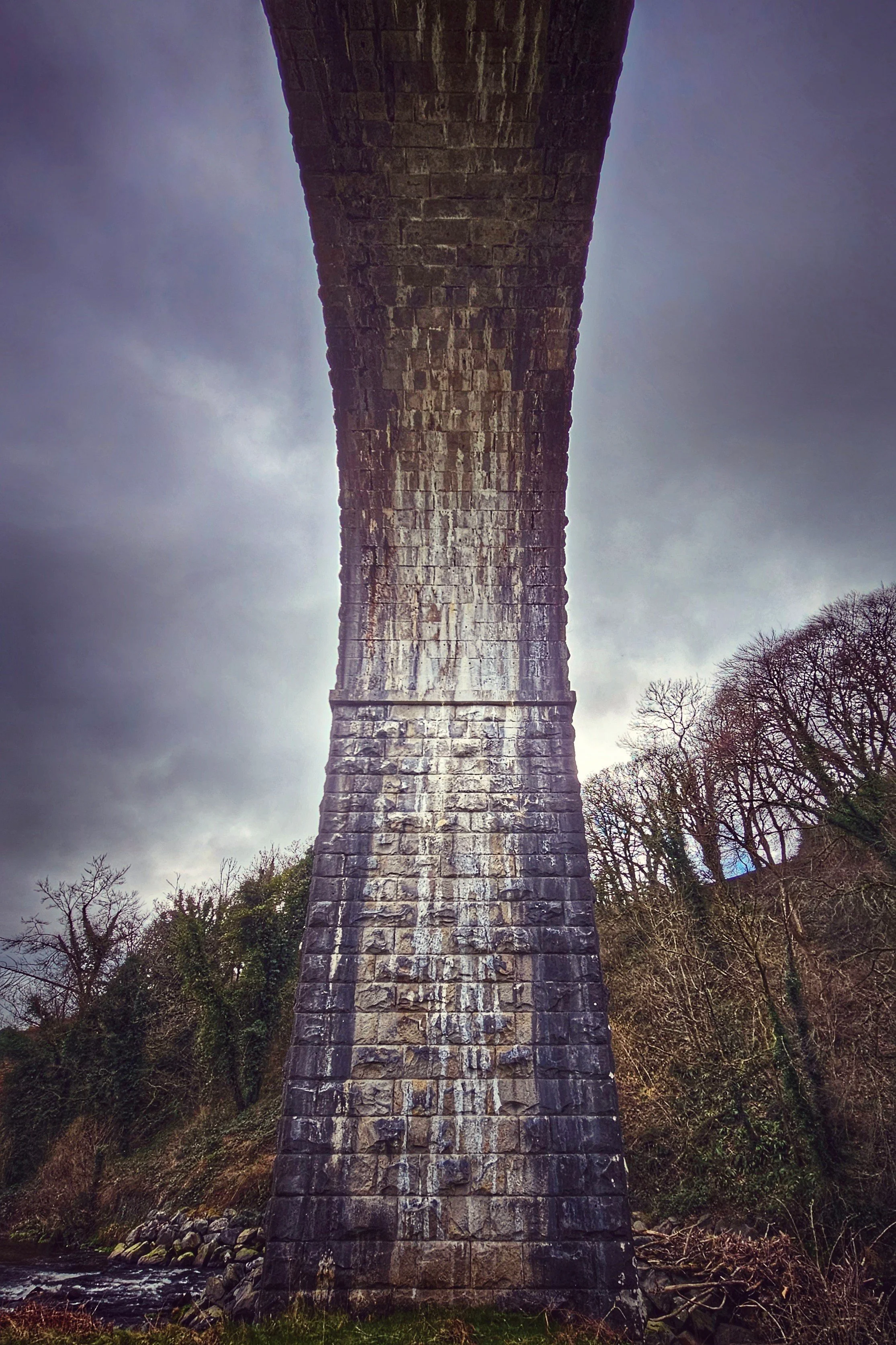 20250323_120654 (1).jpg