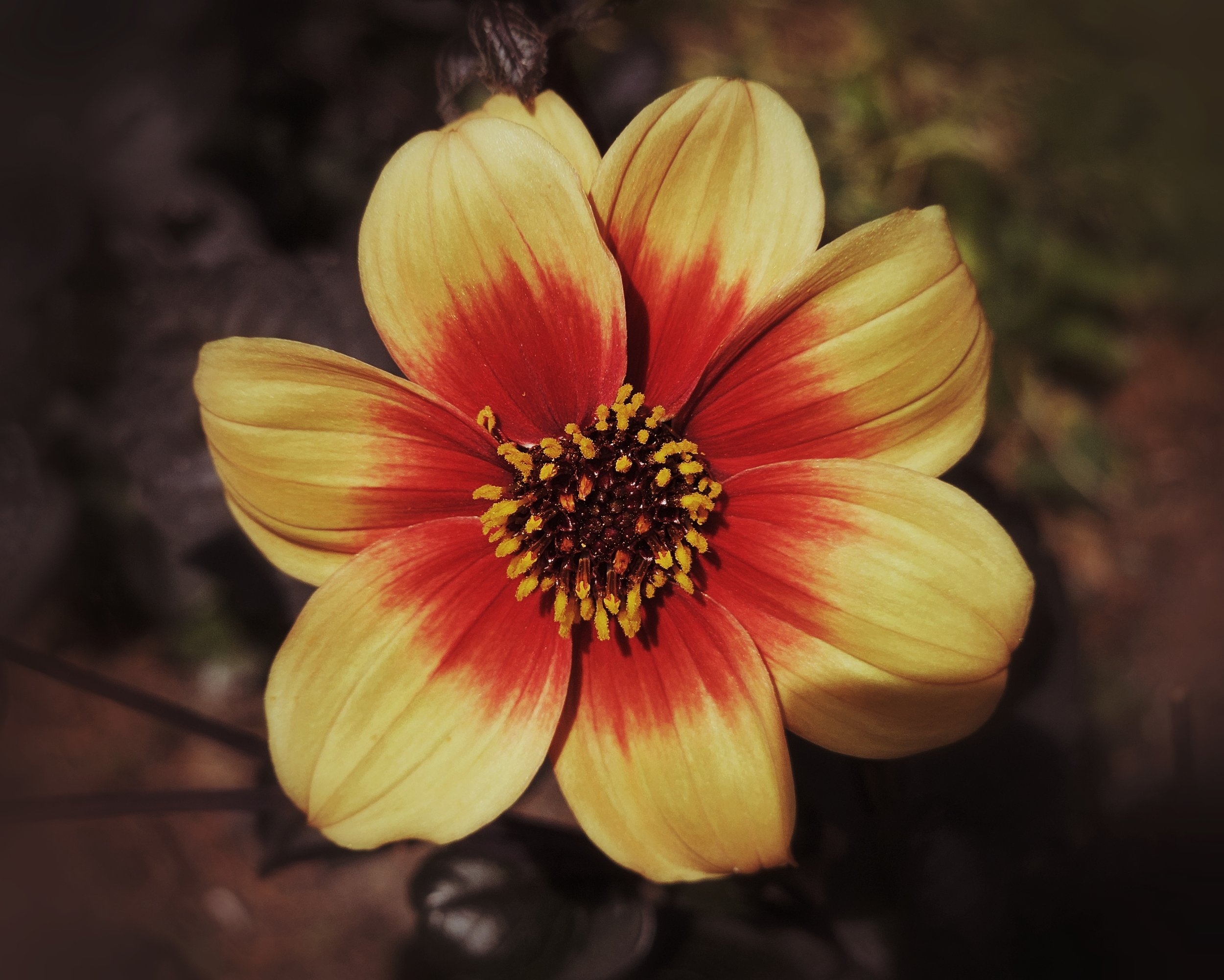 20250822_121232 (1).jpg