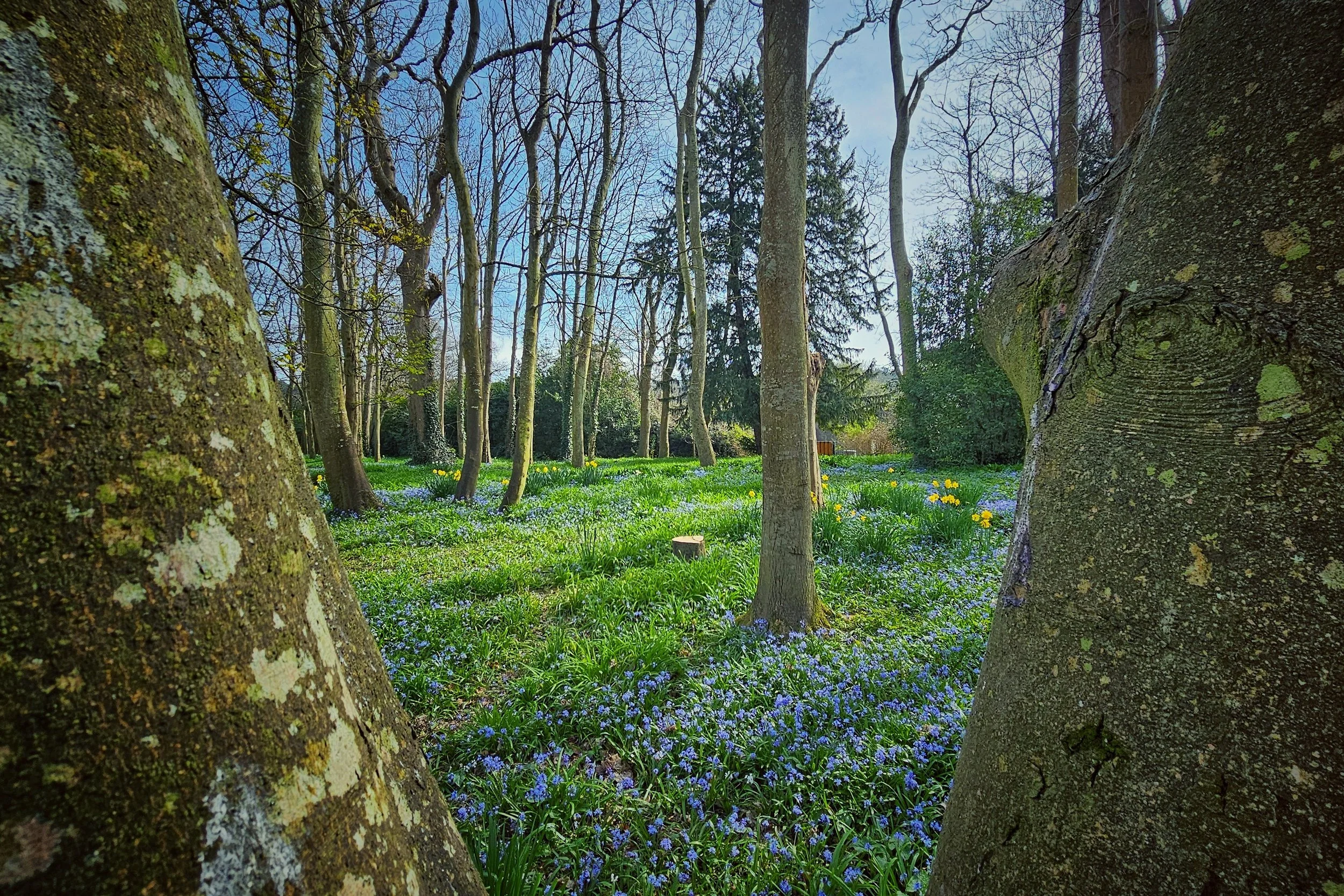 20250320_122345 (1).jpg