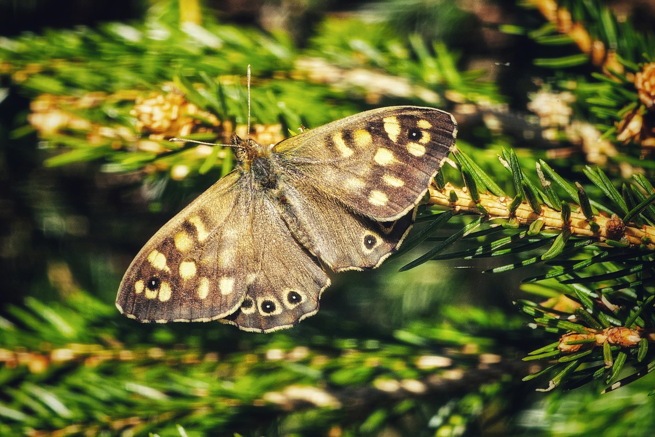 20250411_122218 (1).jpg