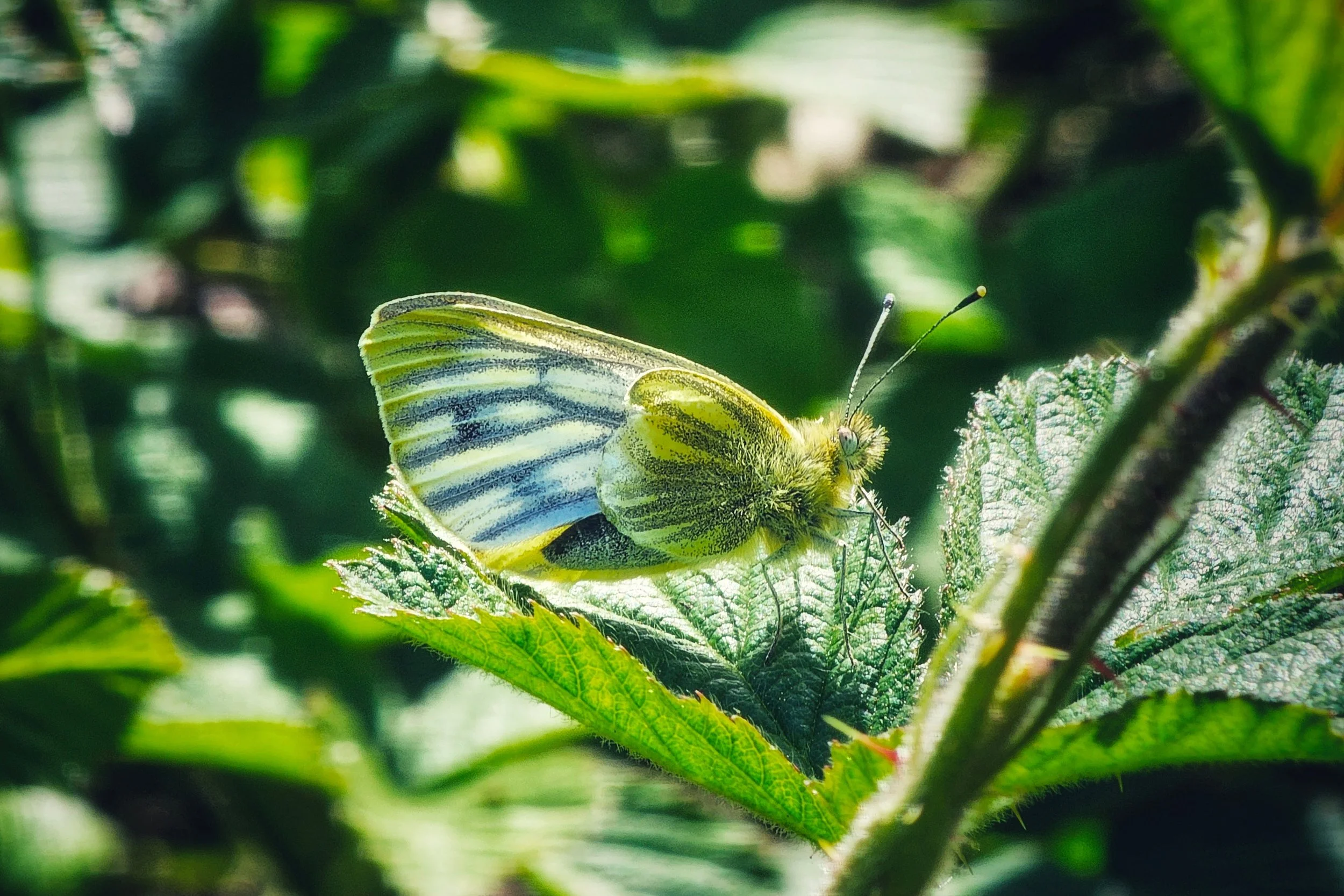 20250506_123403(0) (1).jpg