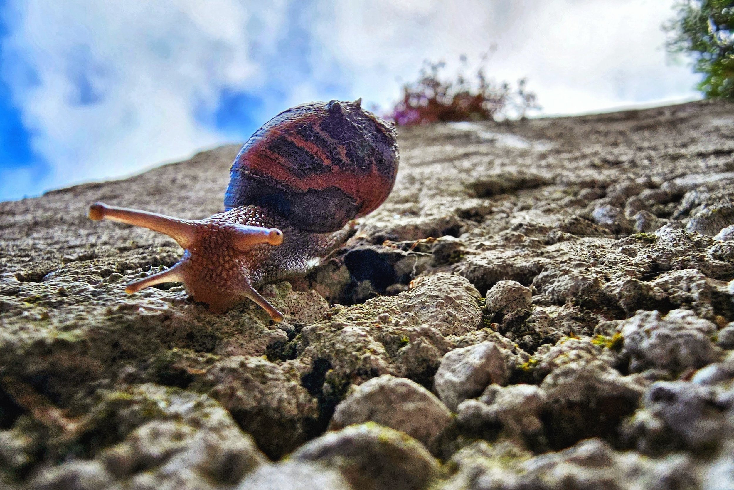 20250426_103319~2 (1)~2.jpg