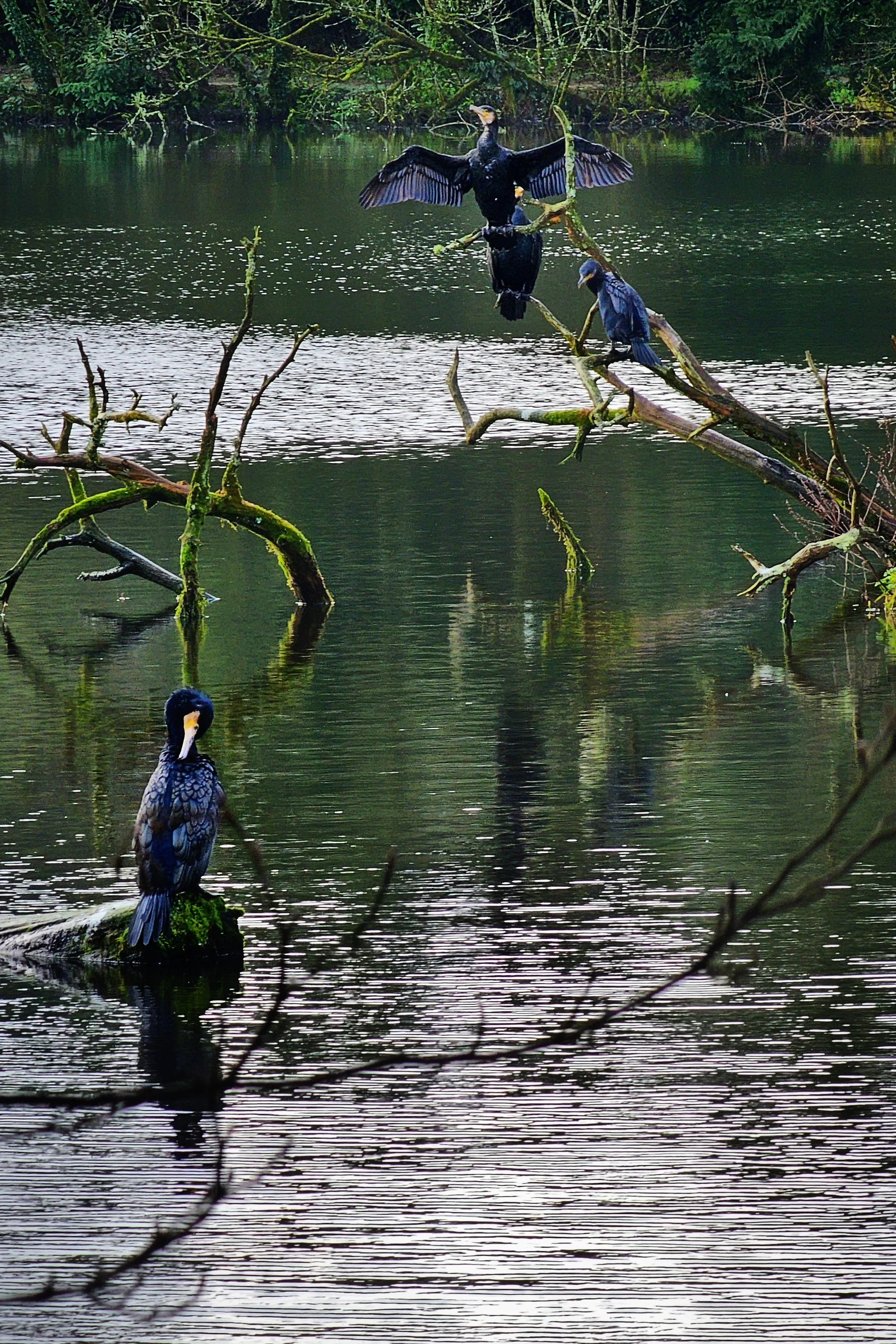 20250115_114020(0) (1).jpg