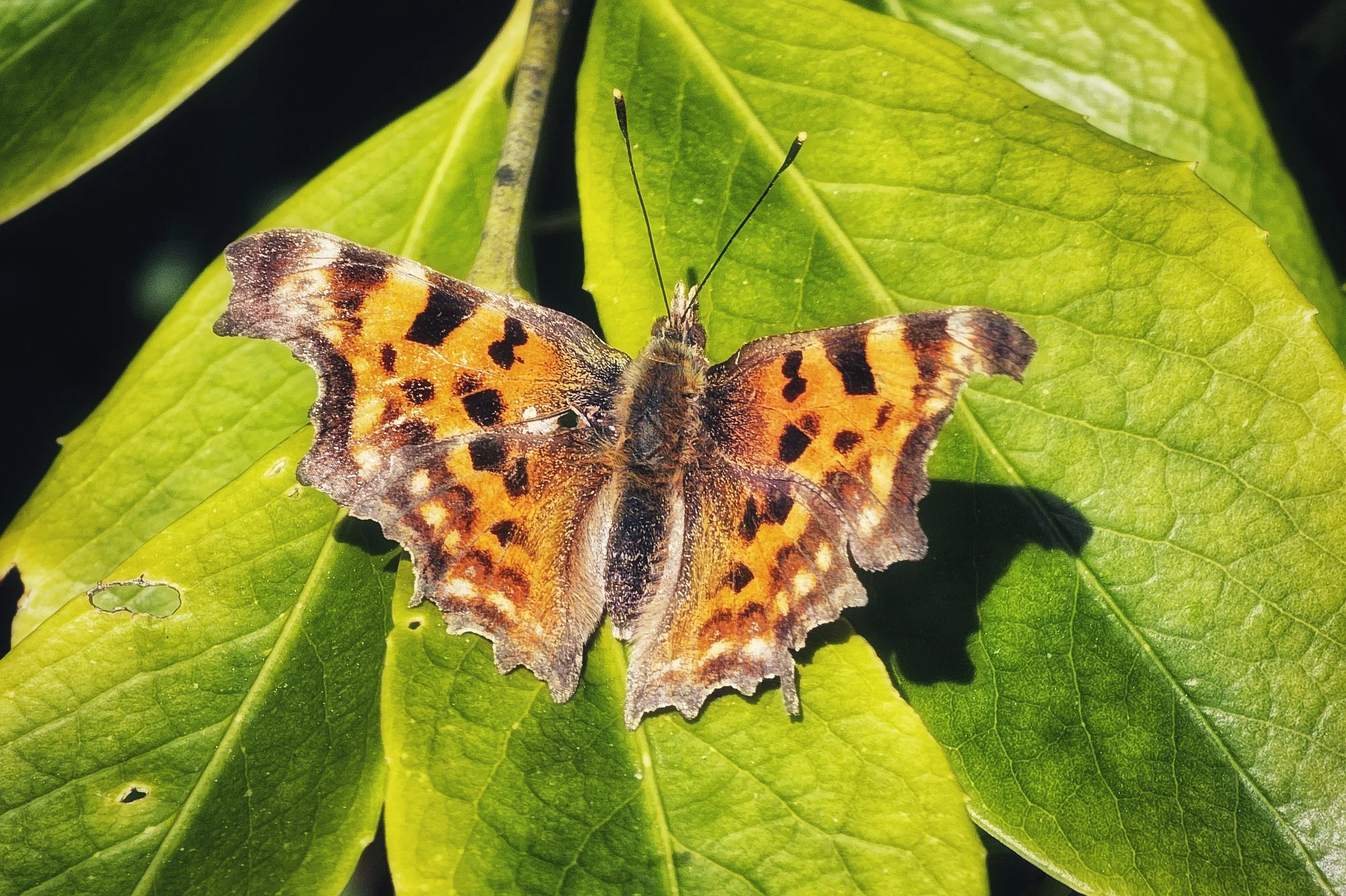 20250424_131611 (1).jpg