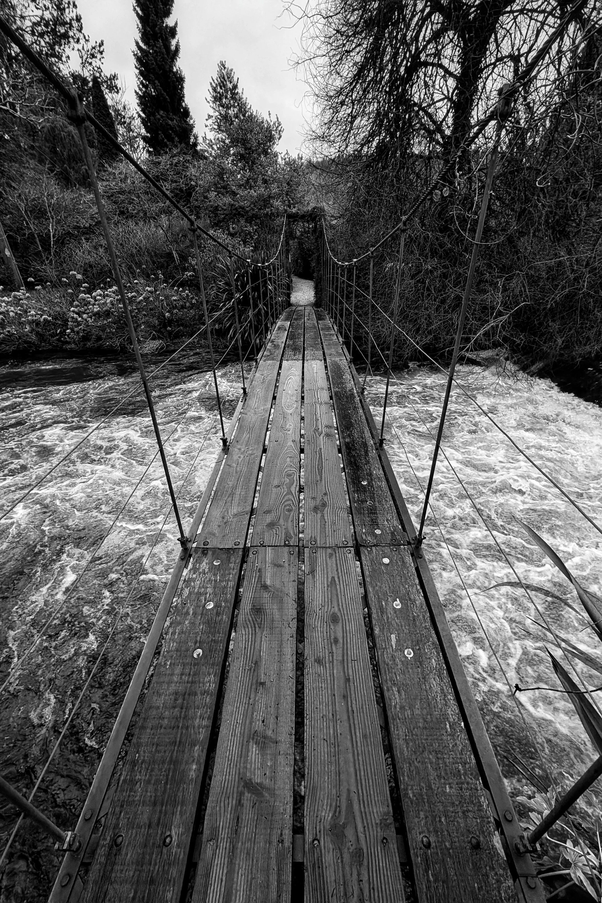 Crossing the Raging Vartry