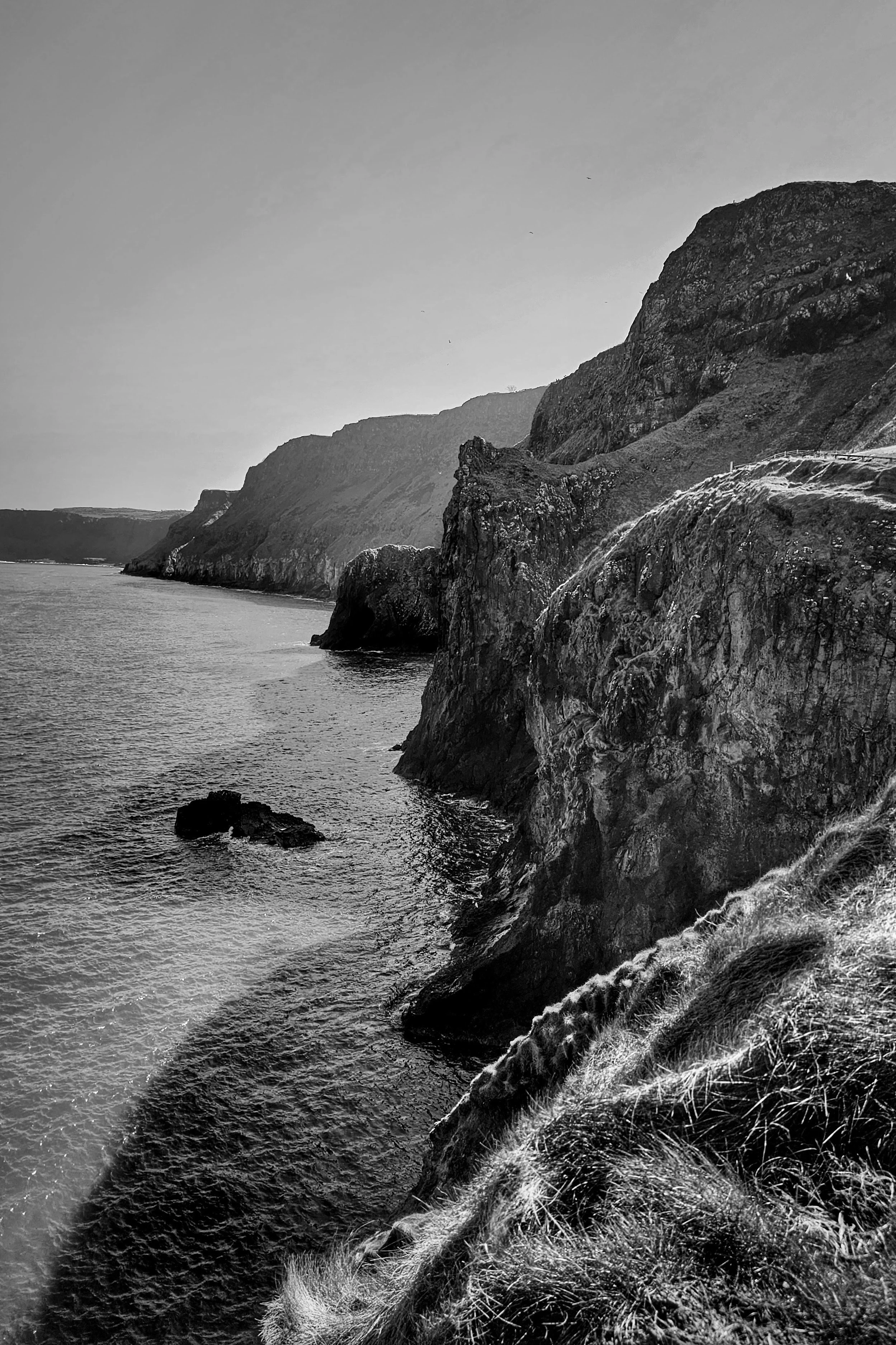 20250403_141404 (1).jpg