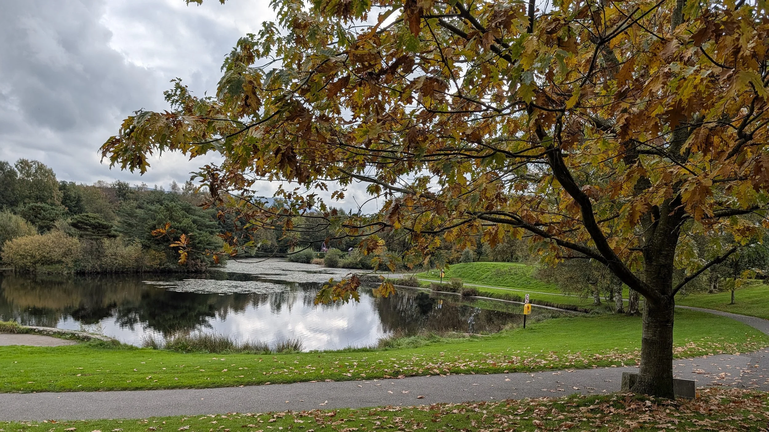 Aughrim Pavillion Lake, County Wicklow