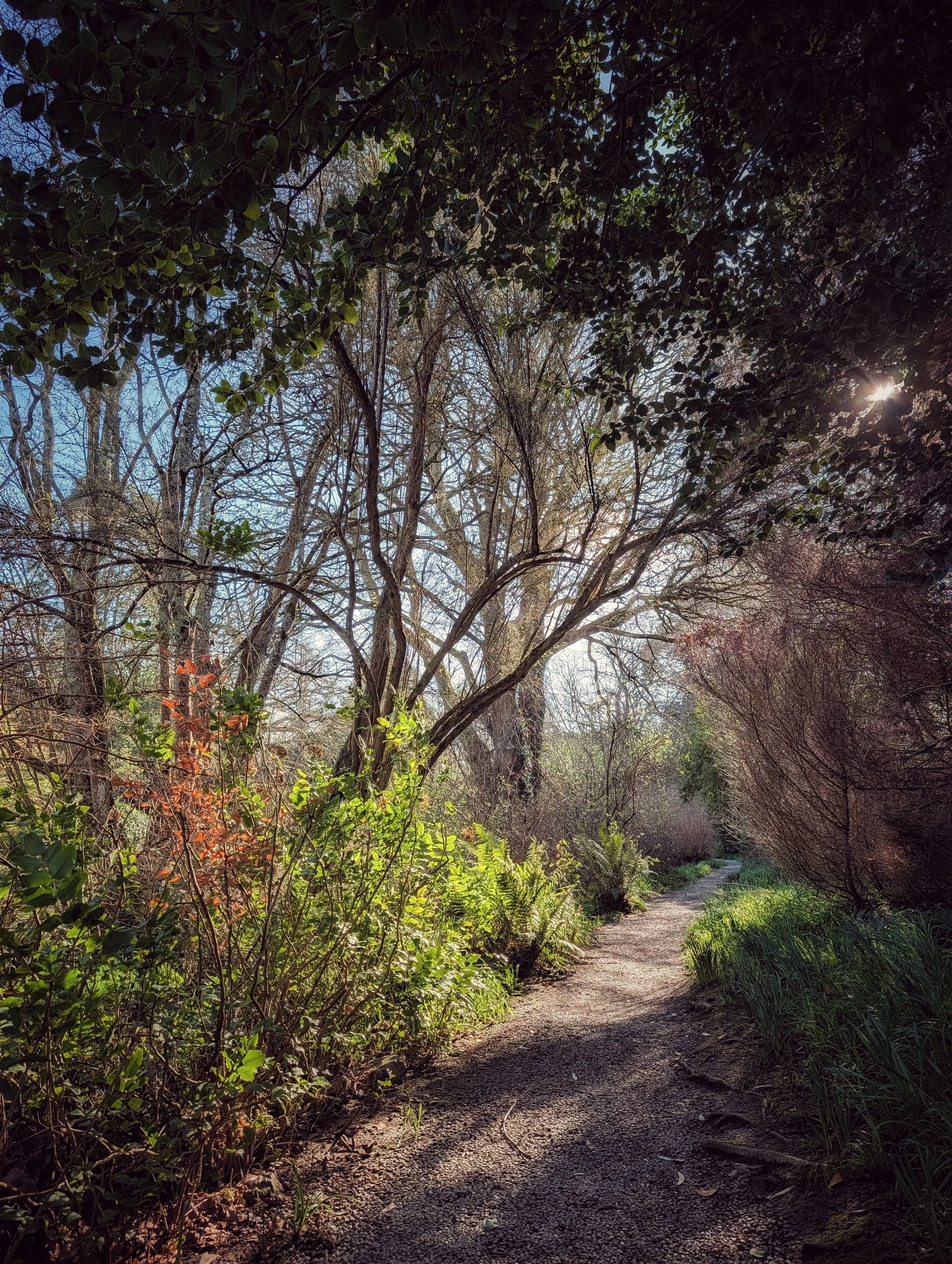 Quiet Sun-Filled Moments in Ashford