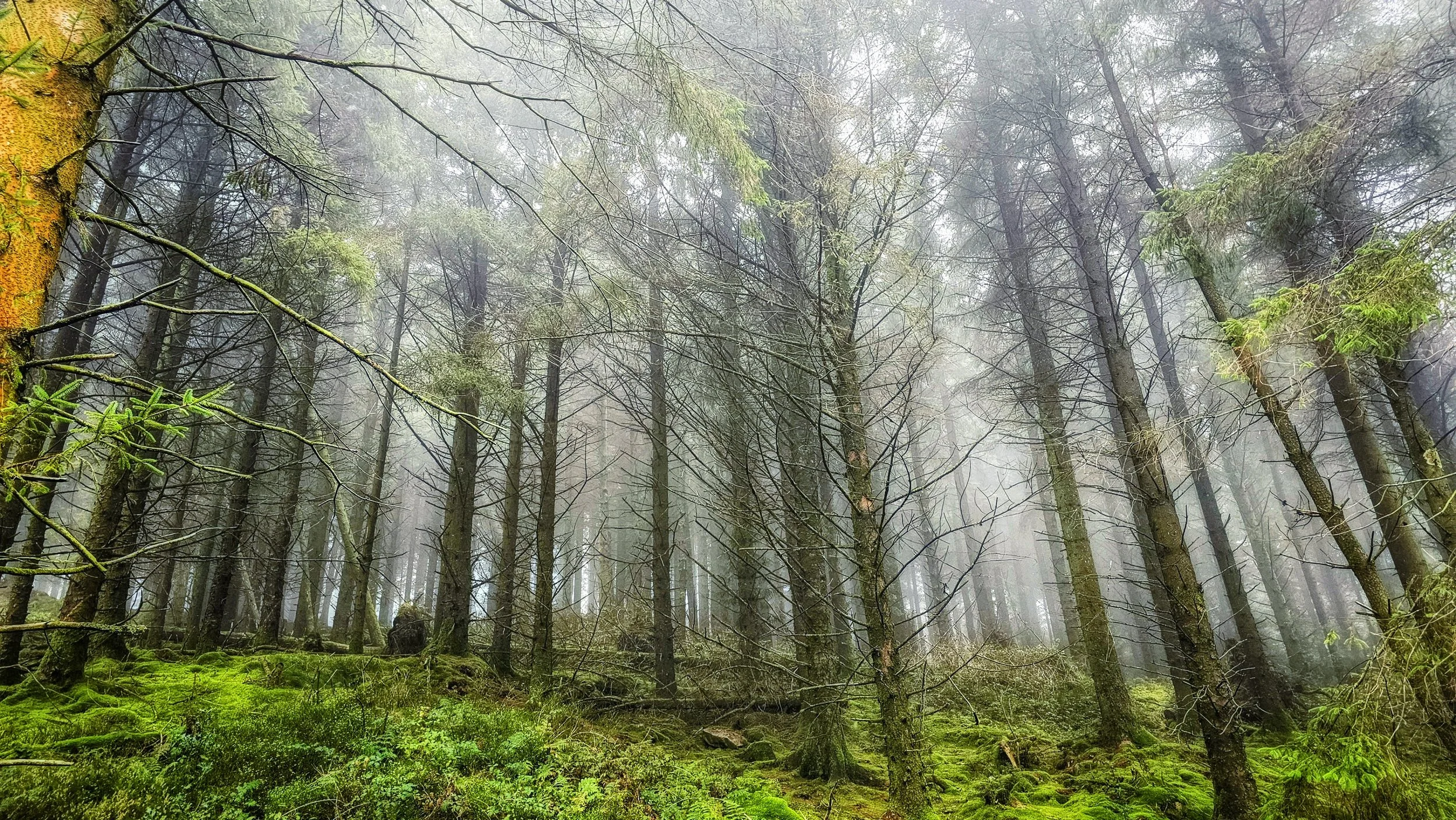 20241114_130536~2 (1).jpg