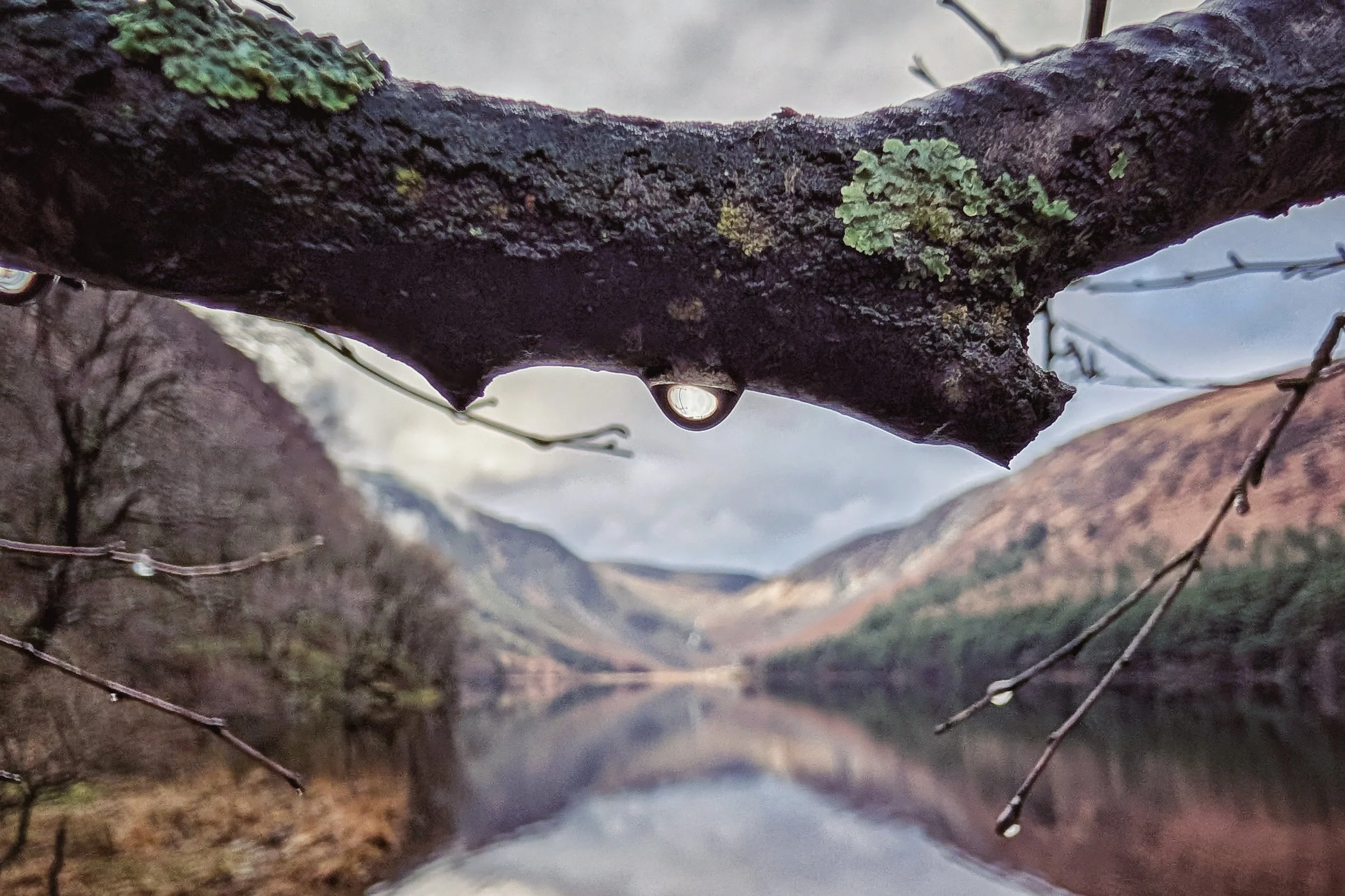 Glendalough in a Drop