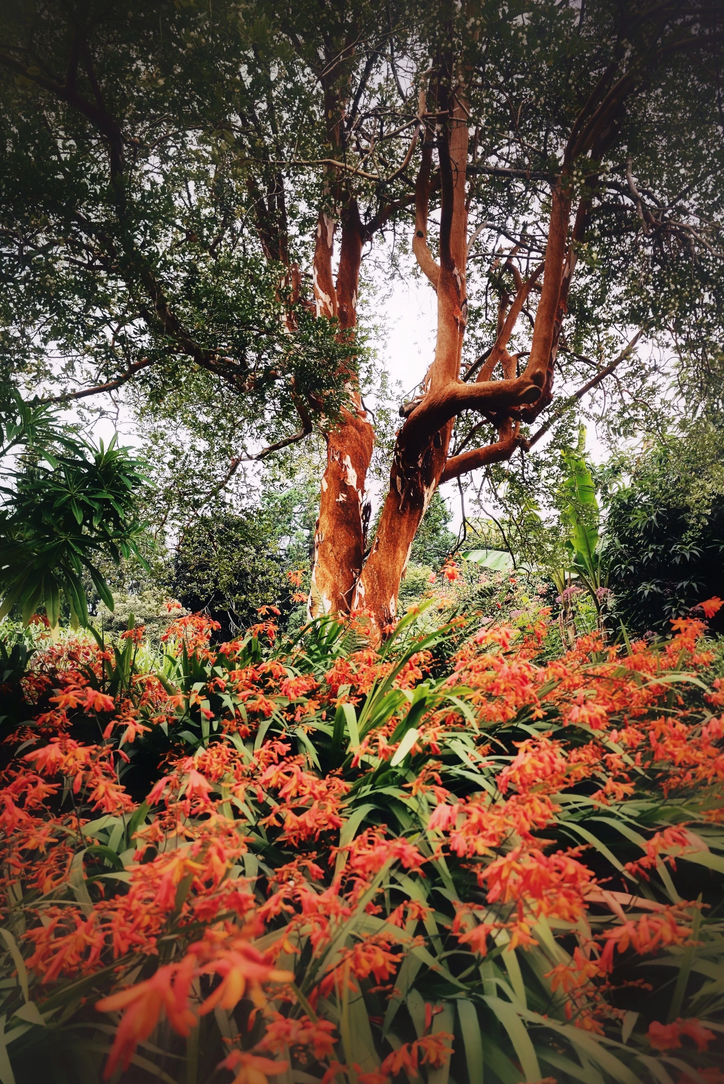 20250727_120331 (1).jpg